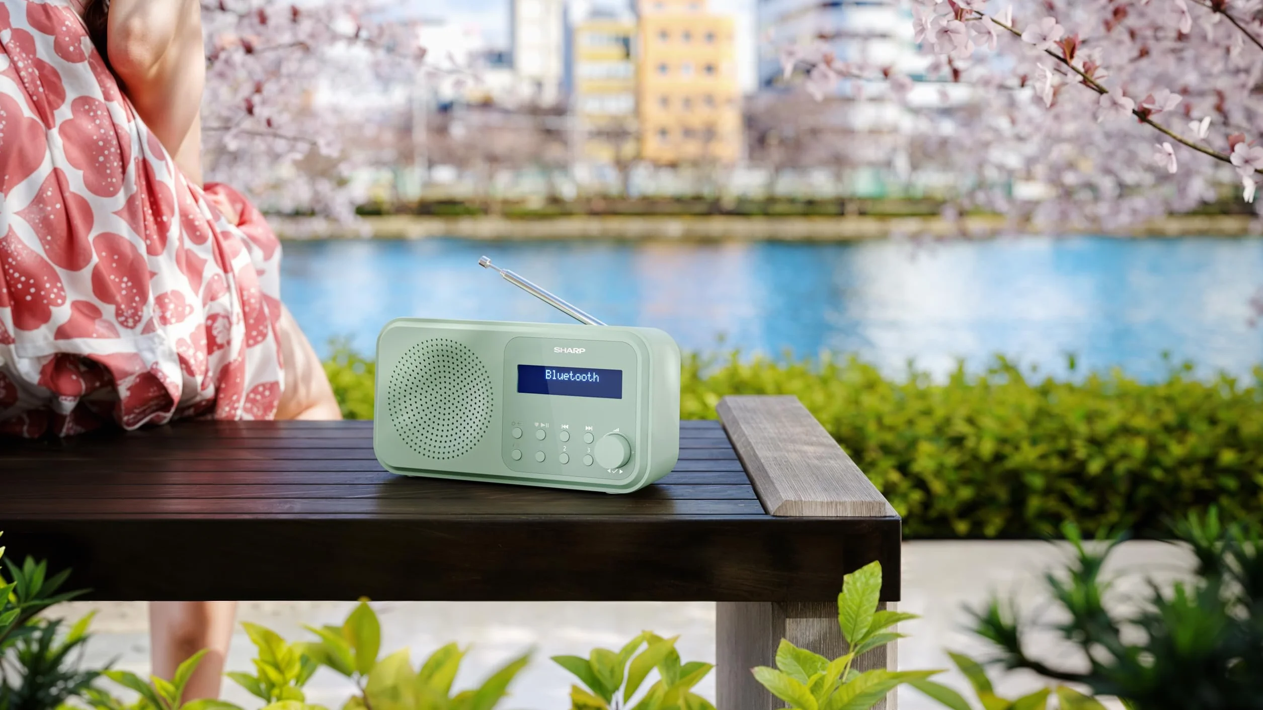 Shap DR-P420(GN) Radio DAB+/DAB/FM Bluetooth Portatile USB Batteria Verde