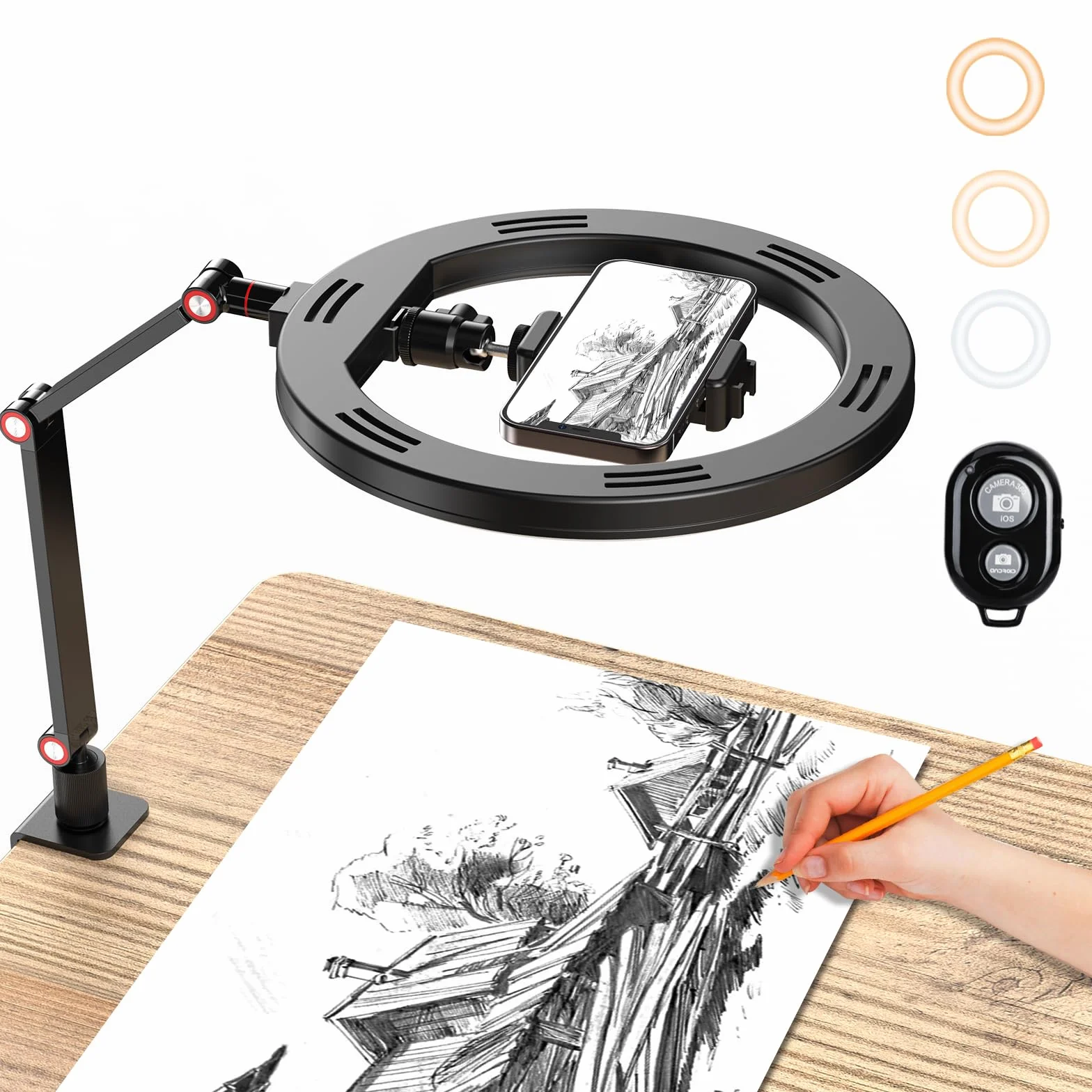 APEXEL 10'' Ring Light con Supporto per Telefono, Ring Light Professionale da Tavolo, Lampada per Videoconferenza con Braccio Regolabile per Telefono TikTok Trucco Fotografia Youtube Video