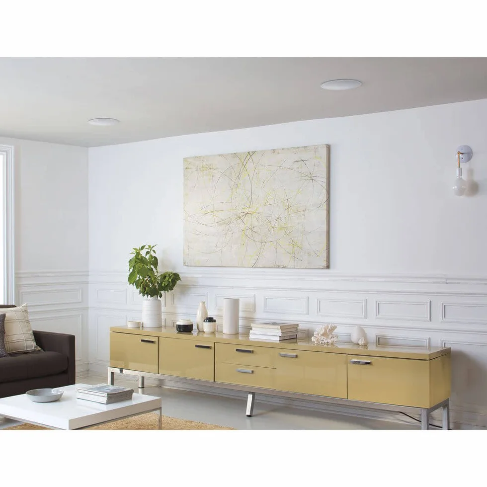 Bose Virtually Invisible 791 II Diffusore a Soffitto, Nero