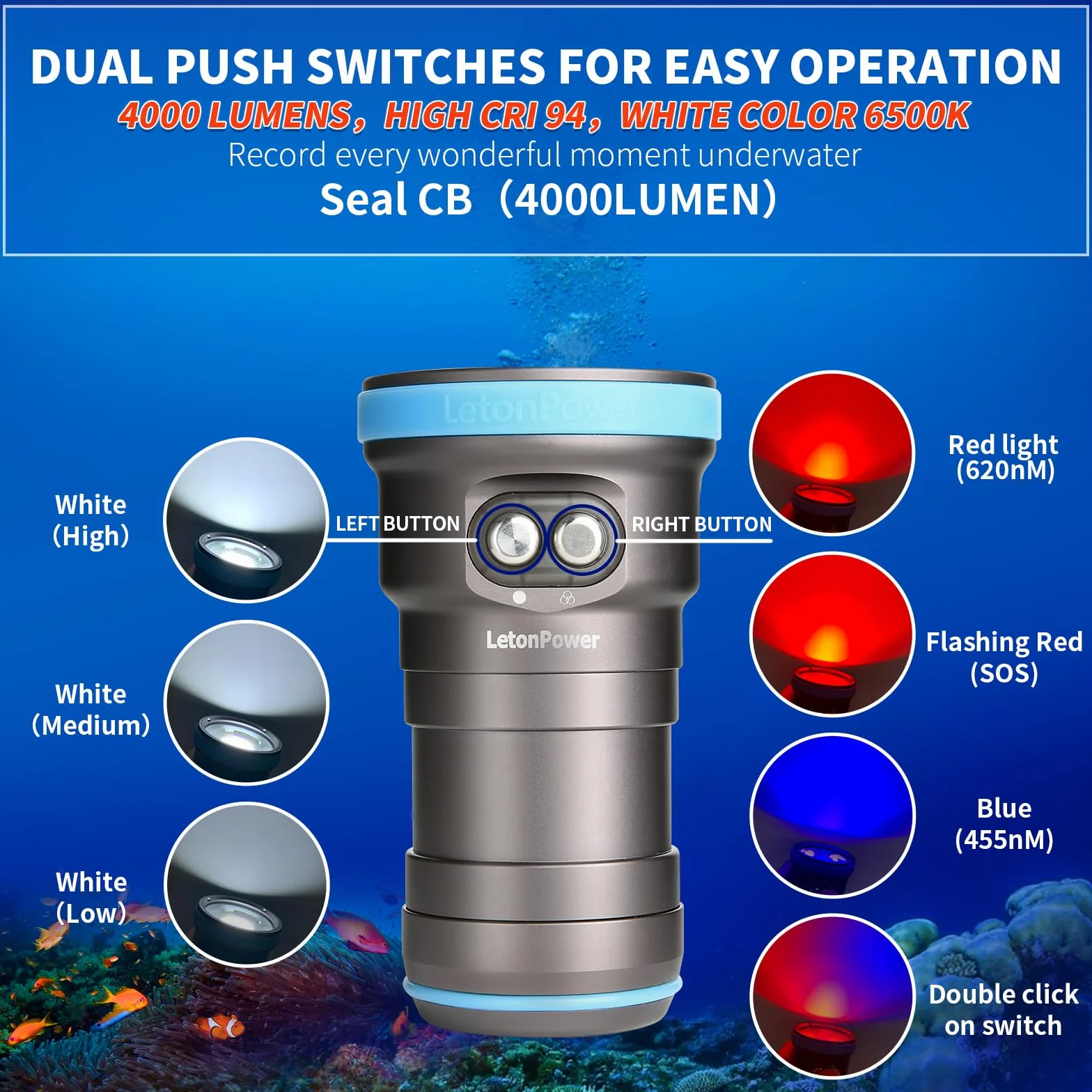 Seal CB Torcia Video Subacquea 4000 Lumen - 120° CRI 94 6500K, Impermeabile 100m, Ricarica USB-C per Video e Foto Subacquee Professionali