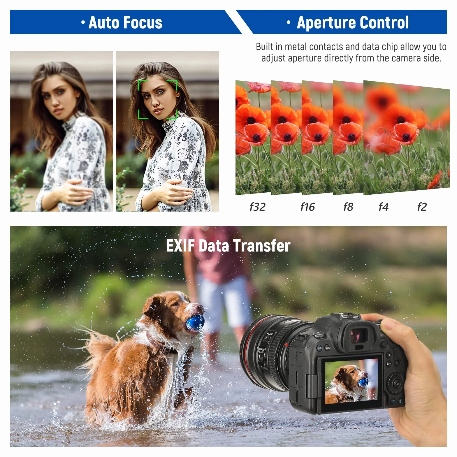NEEWER Adattatore da EFa EOS R,Anello Convertitore Obiettivo EF/EF-S a Fotocamera con Attacco RF,Autofocus,Compatibile con Canon EOS R Ra RP R6 Mark II R6 R5 R3 R7 R10 R8 R50,Max:4,4lb/2kg,NW-EF-EOSR