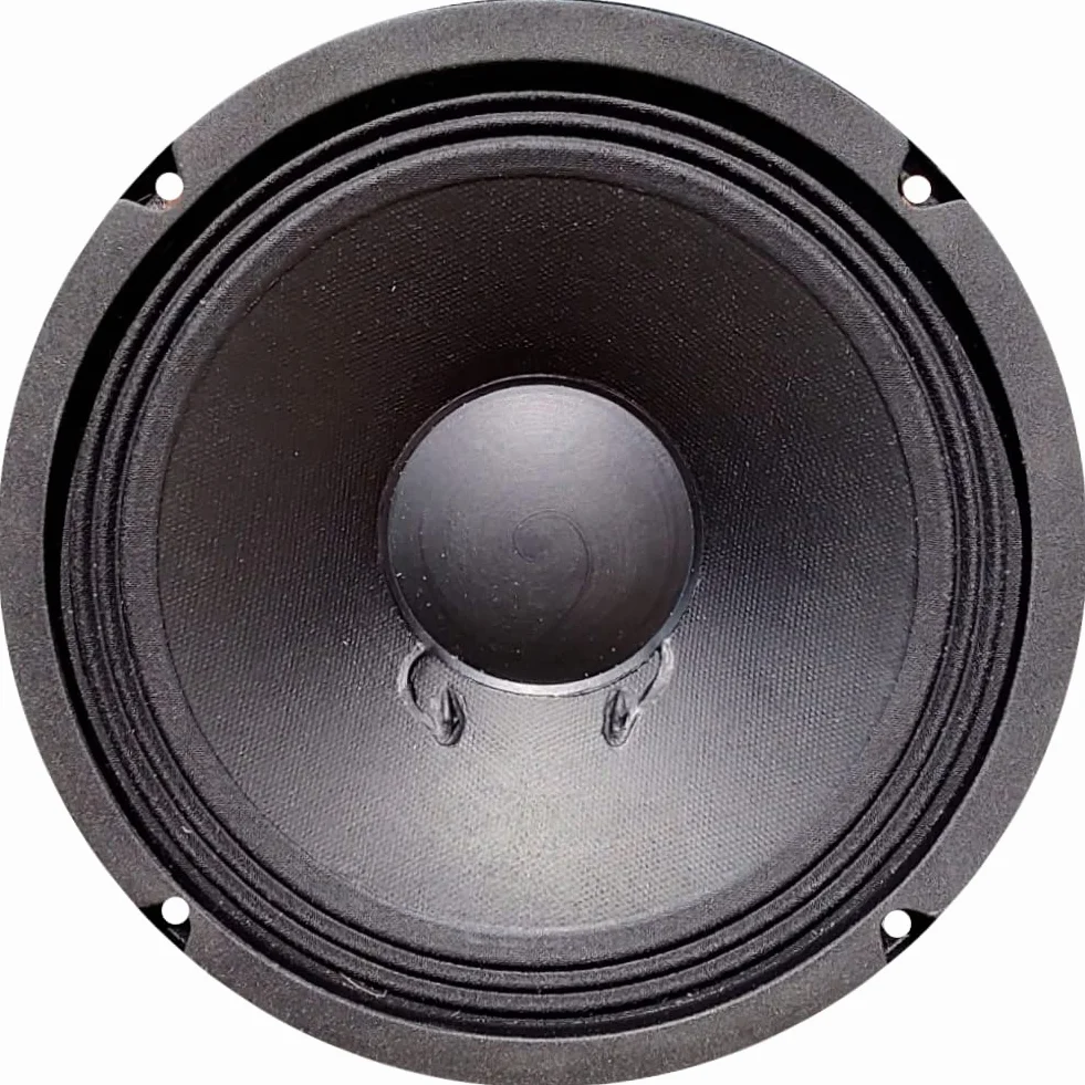 1 altoparlante CIARE PM203 extended range da 20 cm 200 mm 8" di diametro da 150 watt rms e 300 watt max impedenza 8 ohm per casa party, 1 pezzo