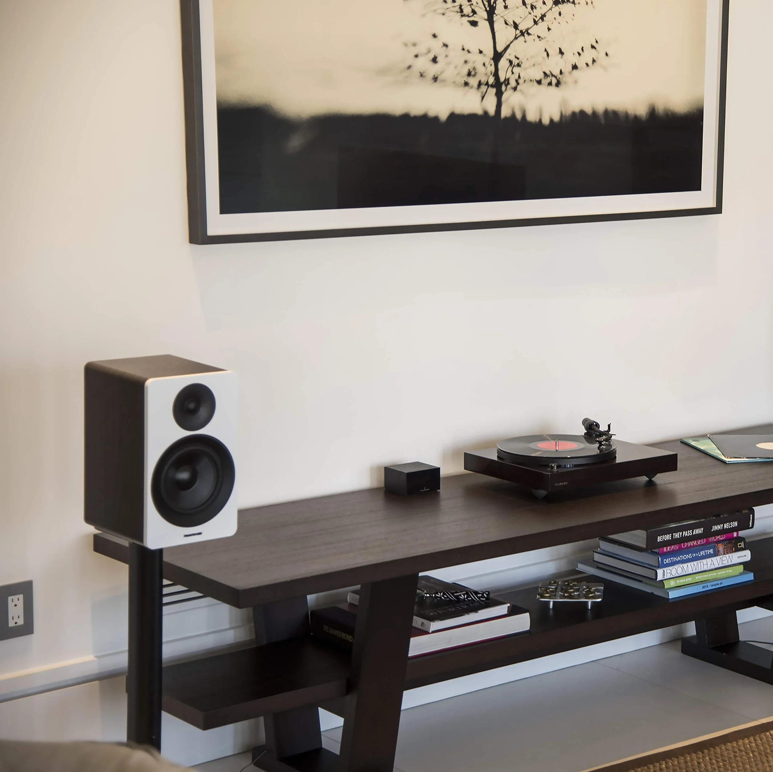 Fluance PA10 Preamplificatore Phono Alta Fedeltà Equalizzazione RIAA Giradischi MM Vinile