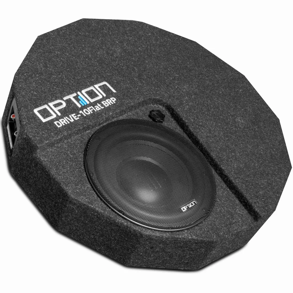 Option DRIVE10FLAT-BRP-D2 - Subwoofer passivo da 25 cm (300 Watt RMS) con doppia bobina oscillante 2 x 2 Ohm, subwoofer piatto con altezza 13 cm