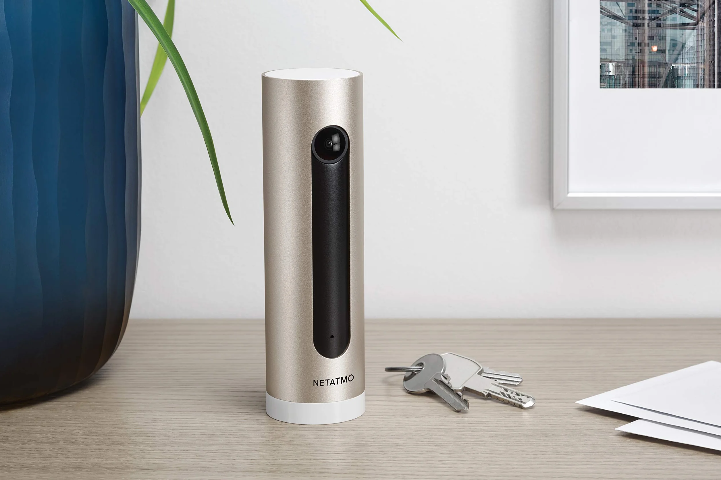 Netatmo Telecamera di Sorveglianza Interna - Wifi 2,4 Ghz - NSC01-R-EC - (Ricondizionata A+)