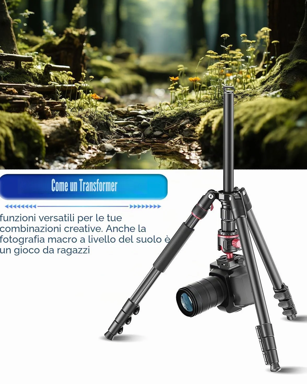 CAMBOFOTO Treppiede professionale per fotocamera, 173 cm, treppiede portatile in alluminio con monopiede da 180 cm/testa a sfera a 360°, clip per iPad e borsa per il trasporto