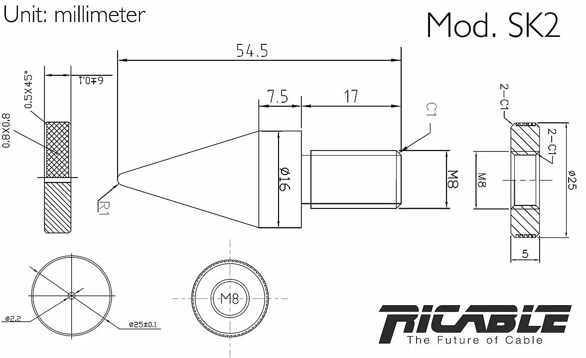 Ricable Custom SK2 Kit 4 pz Spikes Piedini Conici a punta 80 Grammi vite M8