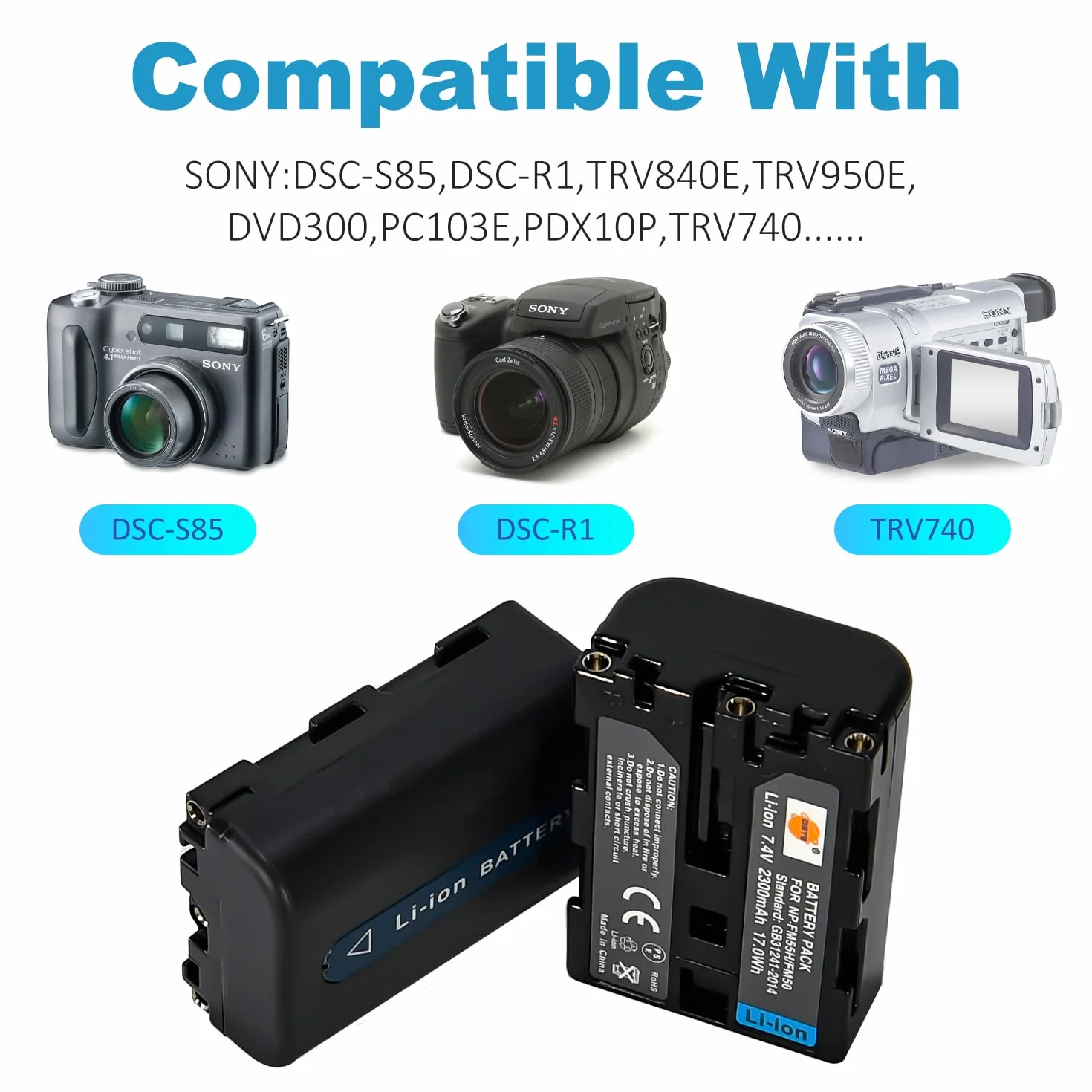 DSTE NP-FM50 NP-FM30 Batteria (2 pezzi) e Caricatore Compatibile con Sony NP-FM30, CCD-TRV126 CCD-TRV128 CCD-TRV138 CCD-TRV208 CCD-TRV218 CCD-TRV228 CCD-TRV238