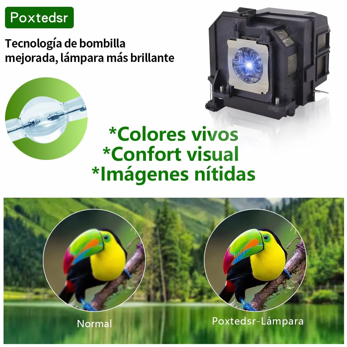 EL PLP79/V13H010L79 - Lampada di ricambio per proiettore compatibile con EPSON EB-575W EB-570 EB-575Wi BrightLink 575Wi PowerLite 570 PowerLite 575W