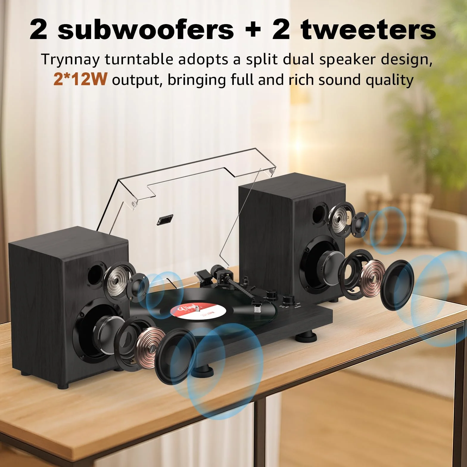 Giradischi Lettore con Contrappeso Regolabile Bluetooth 33/45 RPM 7/10/12 Pollici Suono Hi-Fi Nero