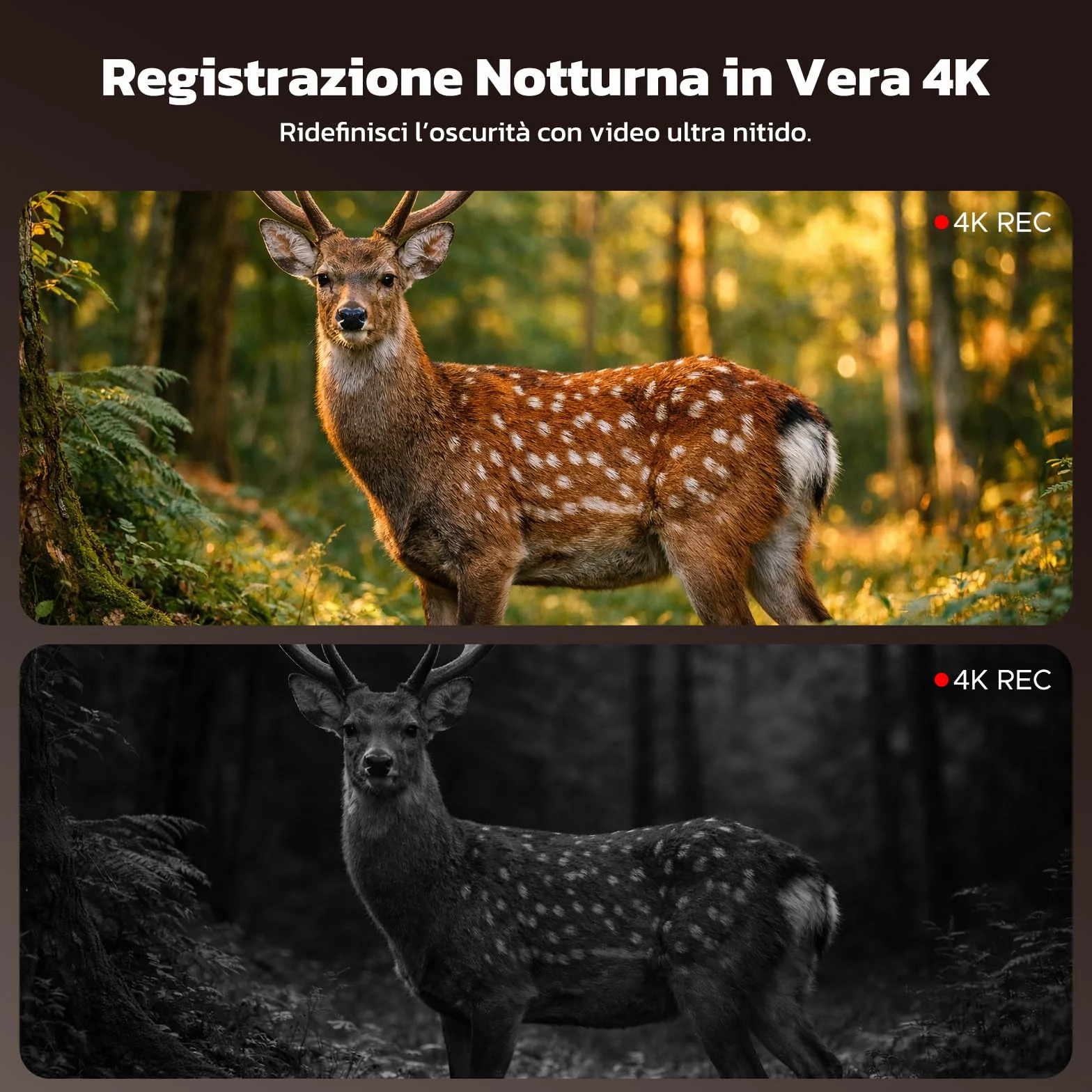Binocolo Visione Notturna 4K 48MP con Zoom 10x e Visore Notturno, Batteria Ricaricabile 5000mAh per Osservazione fino a 400m, Ideale per Outdoor, Campeggio e Sicurezza