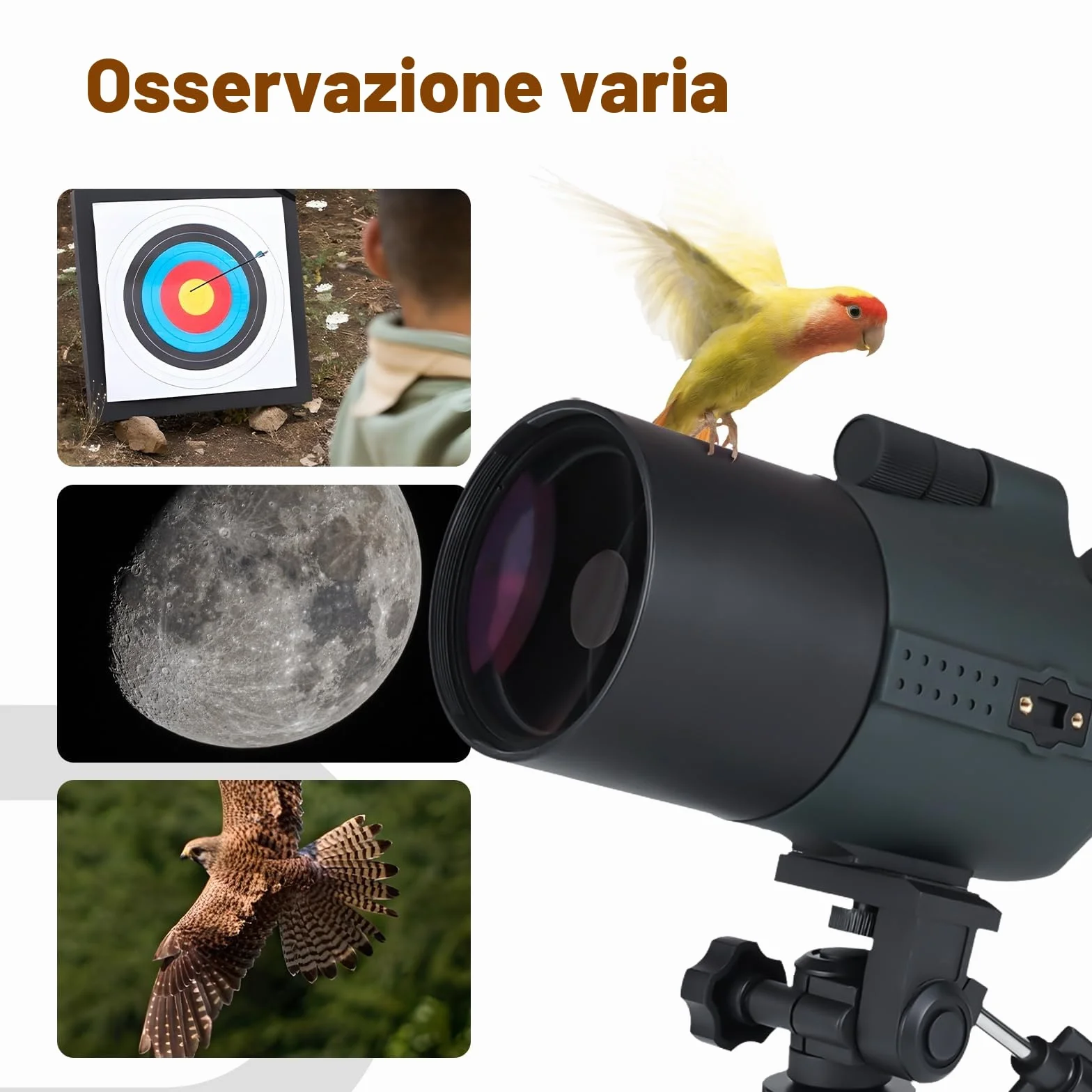 Svbony SV41Pro Mak Cannocchiale con Treppiedi, 28-84X80 FMC Messa a Fuoco a Doppia Velocità, Telescopio Spotting Scope Compatibile Con la Fotocamera WIFI SC001, per Tiro a Segno, Caccia, Birdwatching
