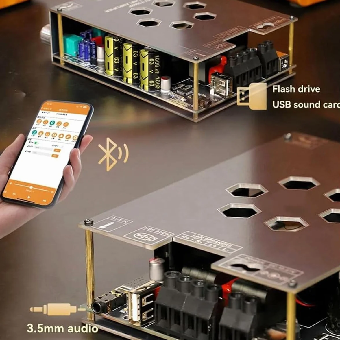 Placa amplificadora T3002P, chip TPA3255, 300 W x 2, módulo amplificador de audio con altavoz Bluetooth estéreo DC19-51 V y carcasa.