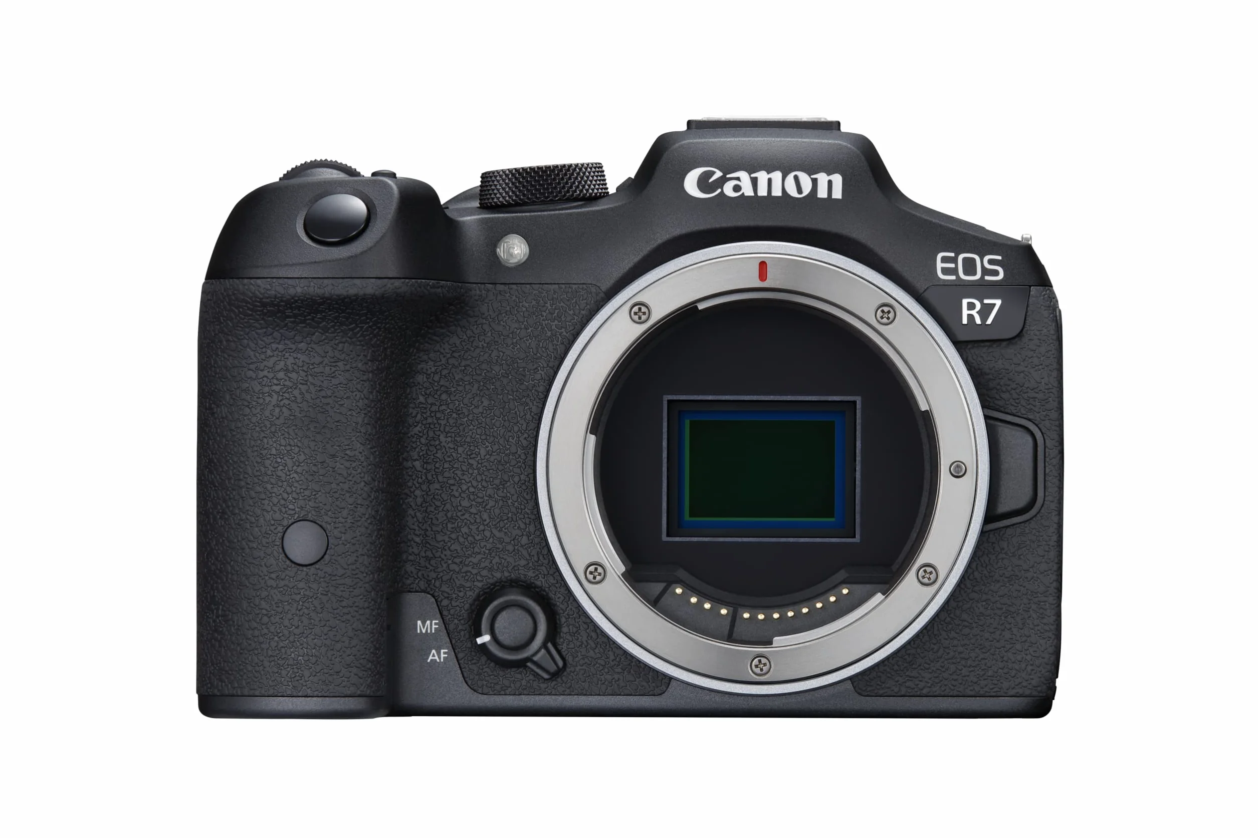 CANON EOS R7 + Bague EF-EOS R