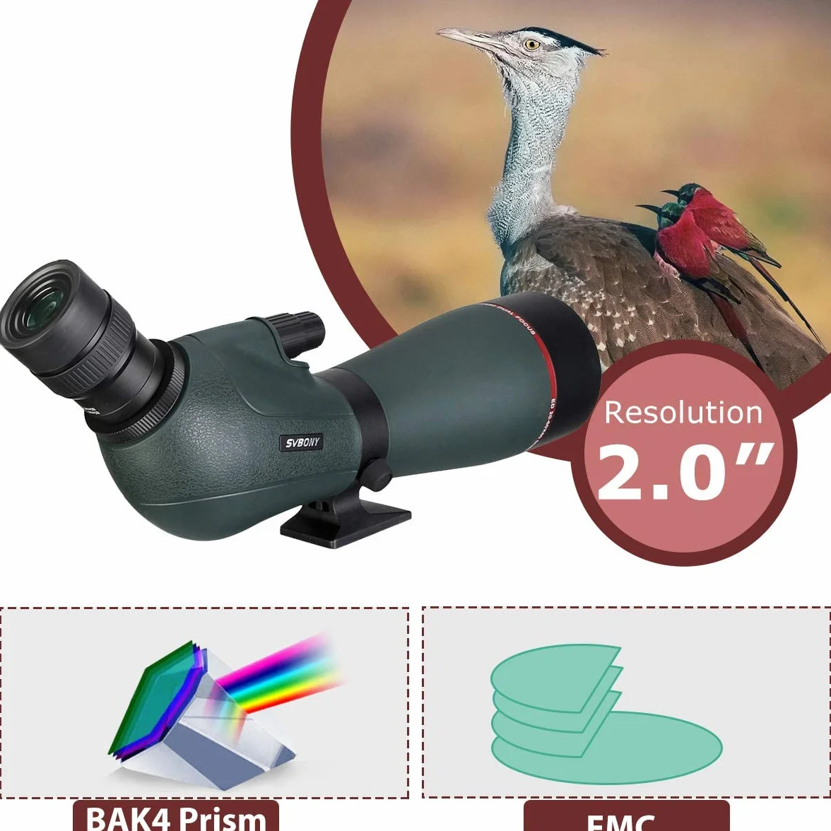 Svbony SV406P ED Cannocchiale, 20-60X80mm 1.25” Zoom Cannocchiali con Doppia Messa a Fuoco FMC BAK4, Cannocchiale per Birdwatching Fotografia Astronomica Casuale