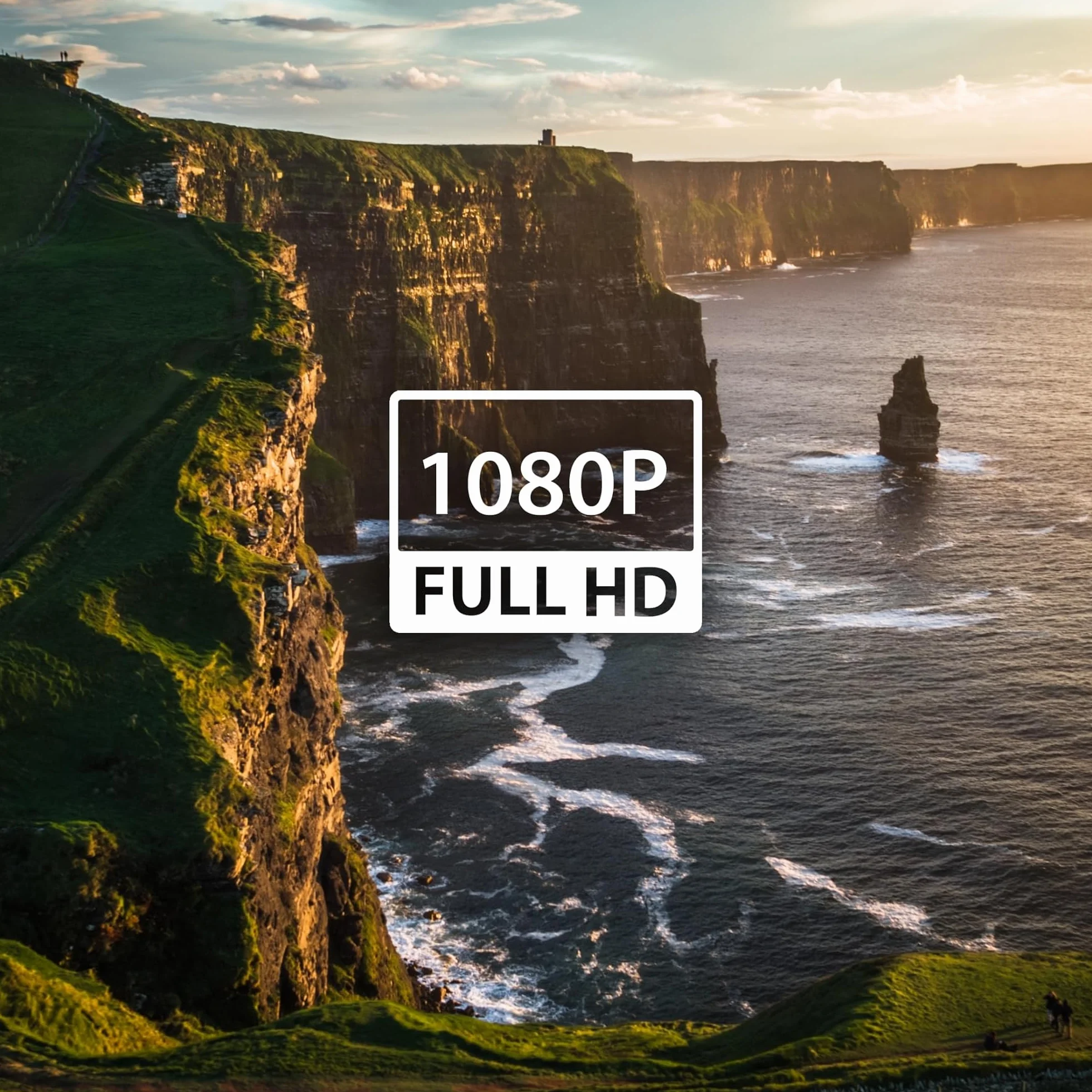 Cecotec TV 24" - Televisore 0 Series 0024. Schermo 24", HD, Risoluzione Immagini e Video Ottima, Sistema Dolby, Memoria Flash, Connettività HDMI/USB, Telecomando, Classe E