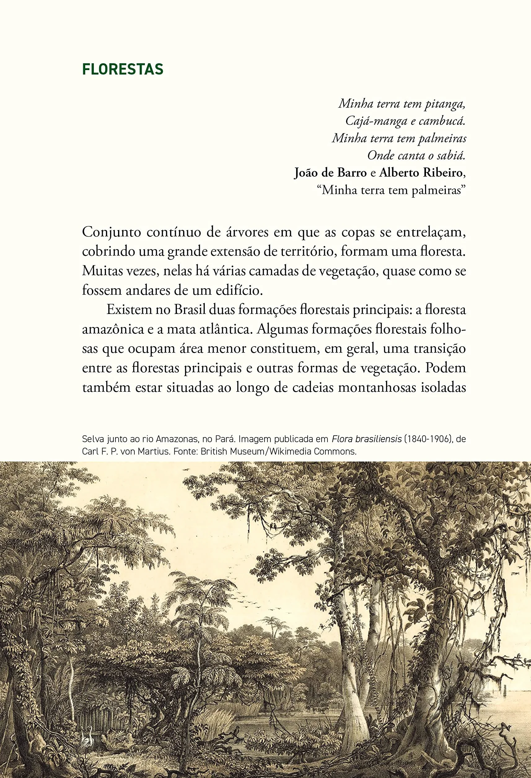 História das florestas brasileiras