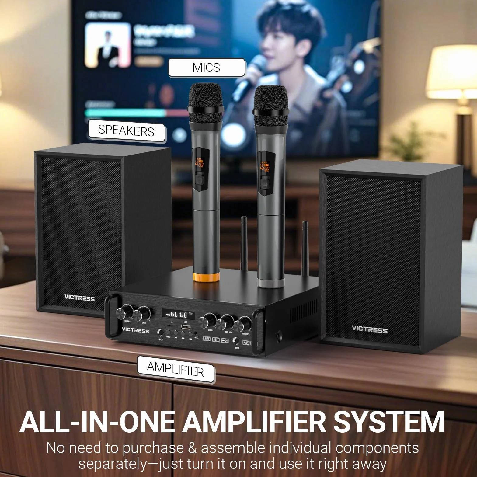 Ricevitori e amplificatore audio domestico all-in-one con altoparlante HiFi professionale e doppi microfoni wireless UHF, set di amplificatori stereo Bluetooth 5.0 per casa/festa/musica, USB/TF/AUX