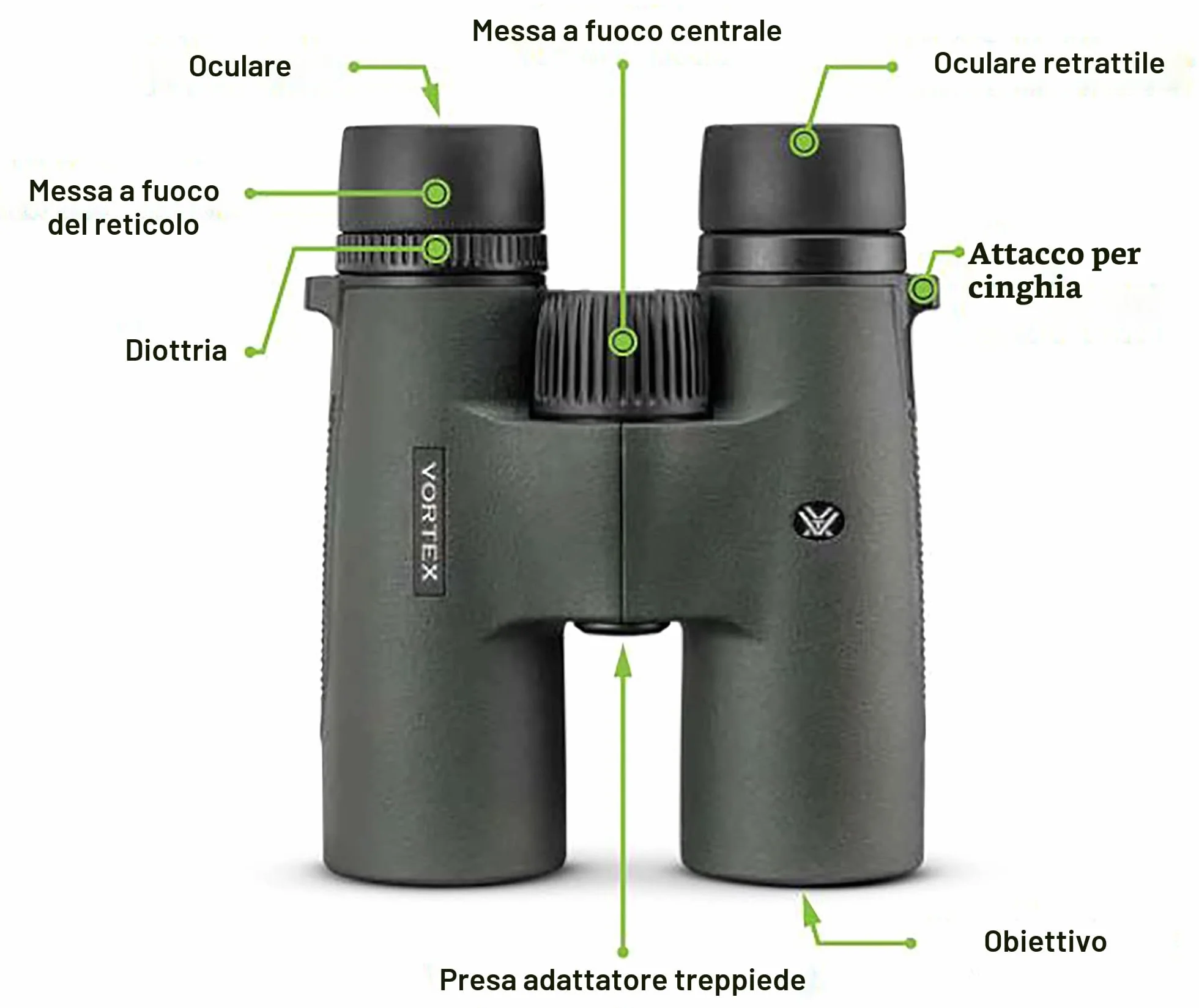 Vortex Ottica Binocolo Triumph HD 10x42