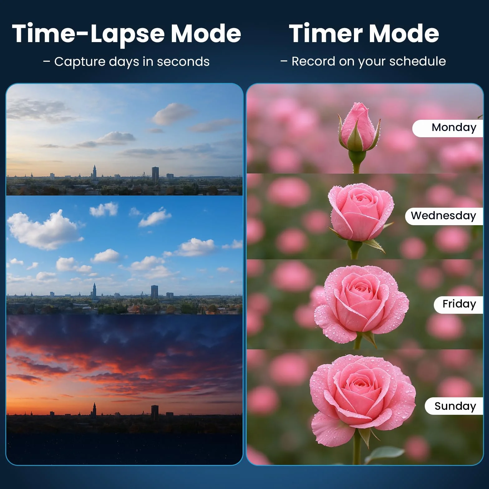 Telecamera Time Lapse 1296P Fotocamera Timelapse da Cantiere da 48 MP, Zoom Digitale 6x Registrazione a 180 giorni Timelapse Camera con Luce LED, Camera Time Lapse per Cantieri, Piantagioni(64 GB)