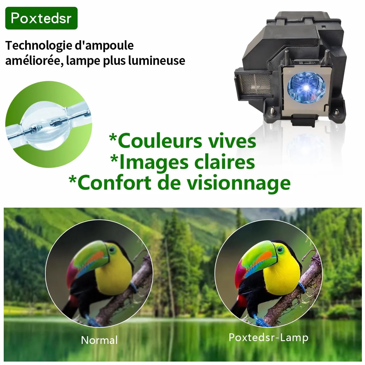 EL PLP95 Lampada Proiettore con Alloggiamento Compatibile con EPSON EB-2055 2065 2140W 2155W 2245U 2250U 2255U 2265U 5530U 5510 PowerLite 2245U 2065 2250U 2255U 2155W 2165W 5530U 5535U