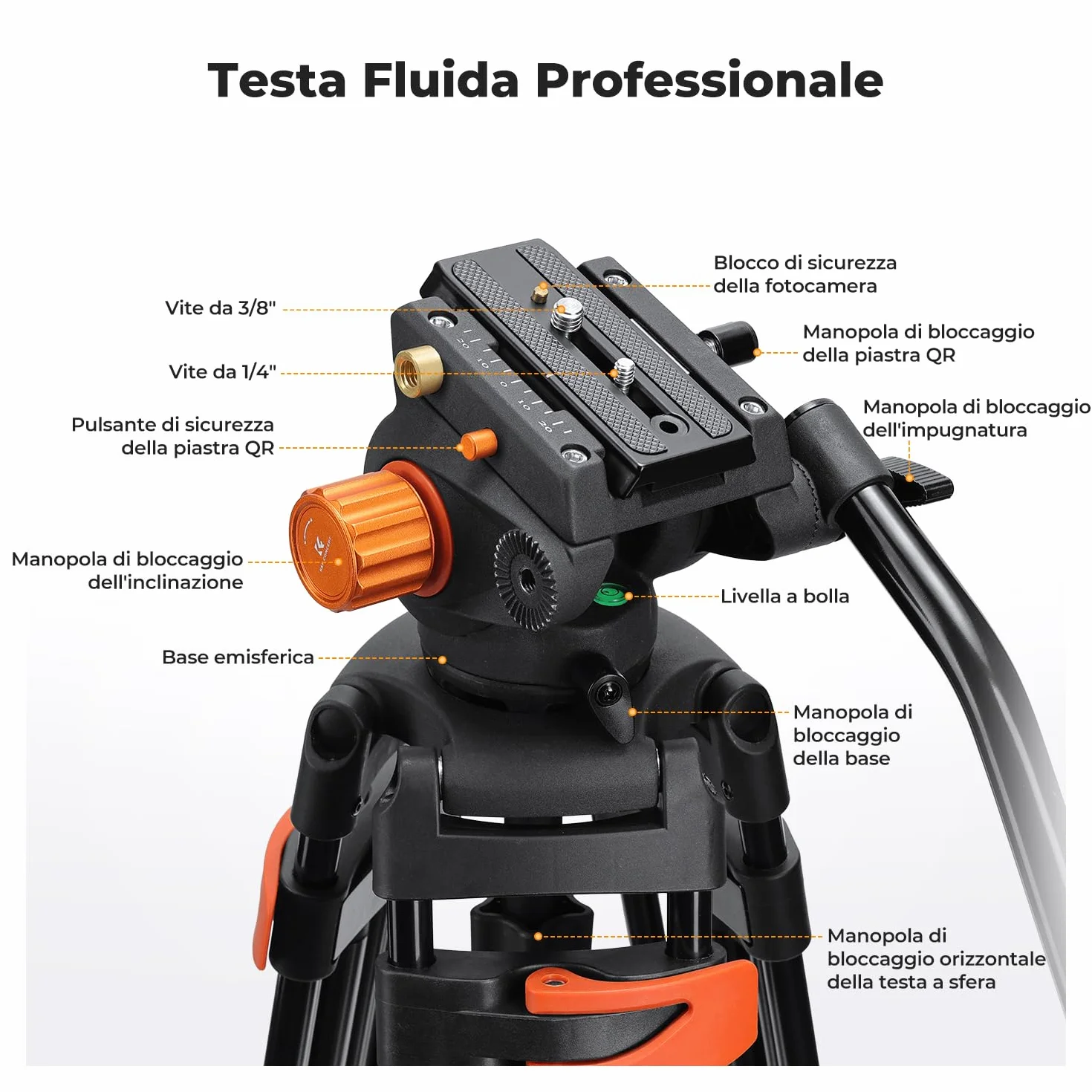 K&F CONCEPT Treppiede Video 202cm, Treppiede Fotocamera in Alluminio con Testa Fluida, Cavalletto Fotografico con Piastra a Sgancio Rapido, Compatibile con Viedocamera/DSLR Canon Nikon Sony, Max 8kg