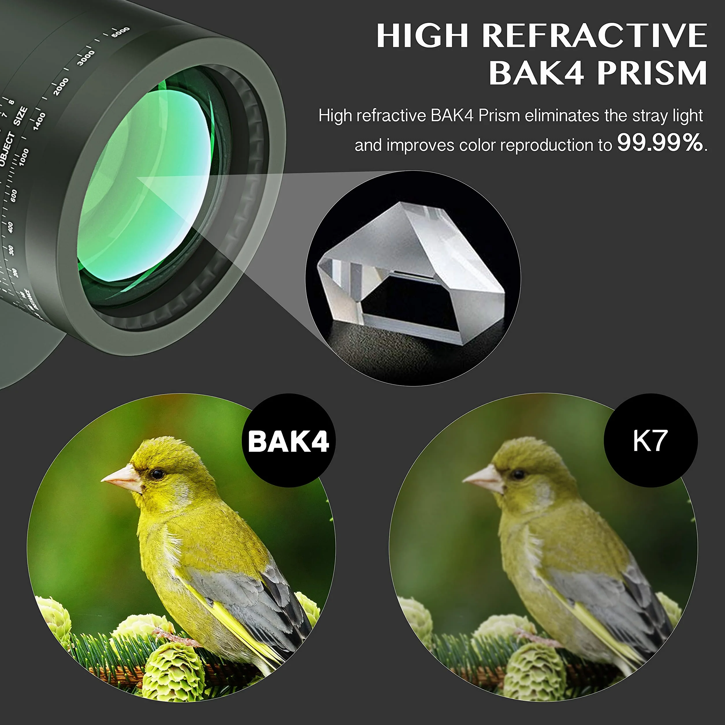 Aomekie Binocolo Professionale 10x50 Impermeabile Militare Professionale Con Bussola Multifunzione Oscillante Adatto Al Bird Watching Caccia Vela Con Tracolla e Pacchetto