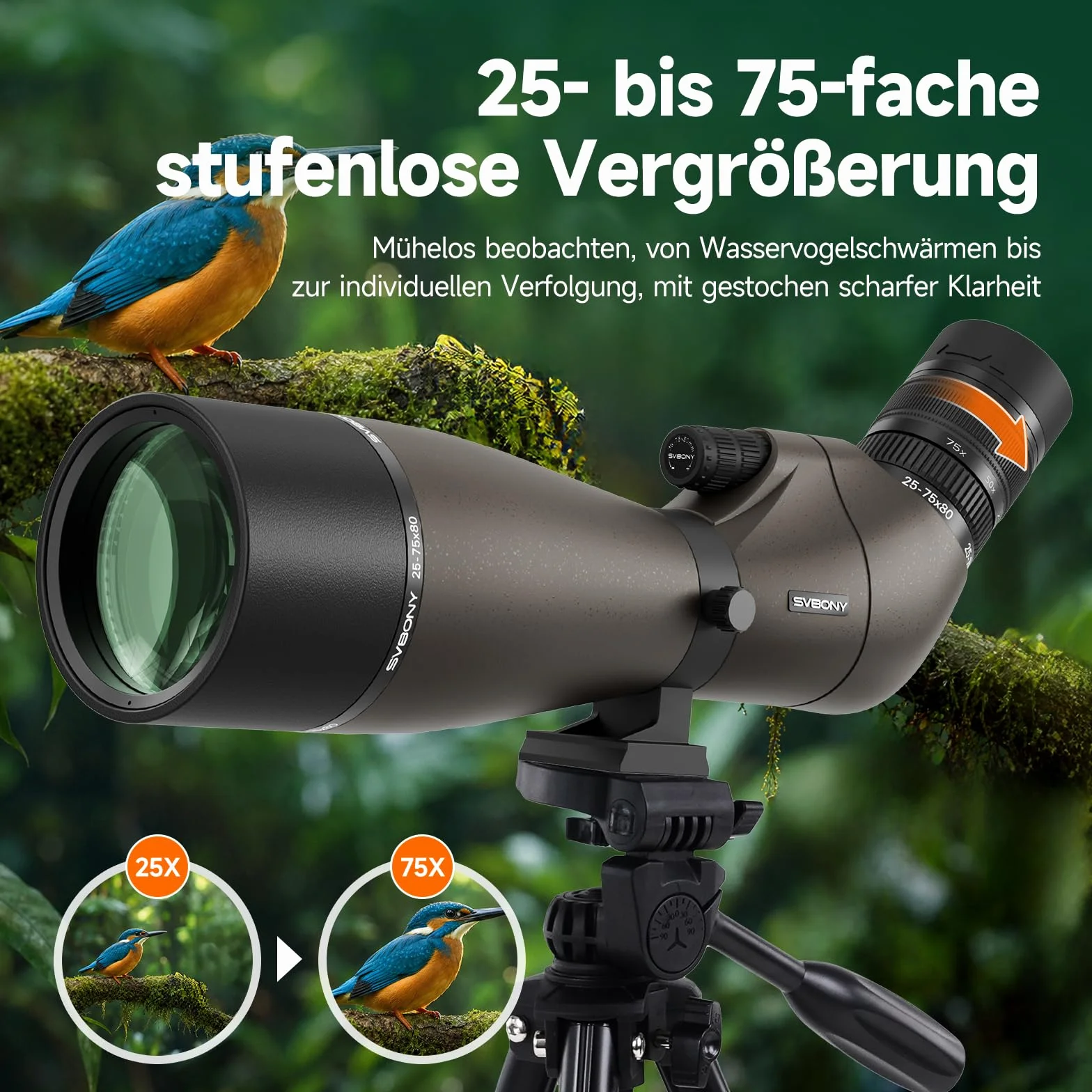 Svbony SV29 25-75x80mm Cannocchiale con attacco a coda di rondine e Treppiede, ampio campo visivo, prisma di Porro FMC, con adattatore per smartphone per tiro al bersaglio, birdwatching e osservazione