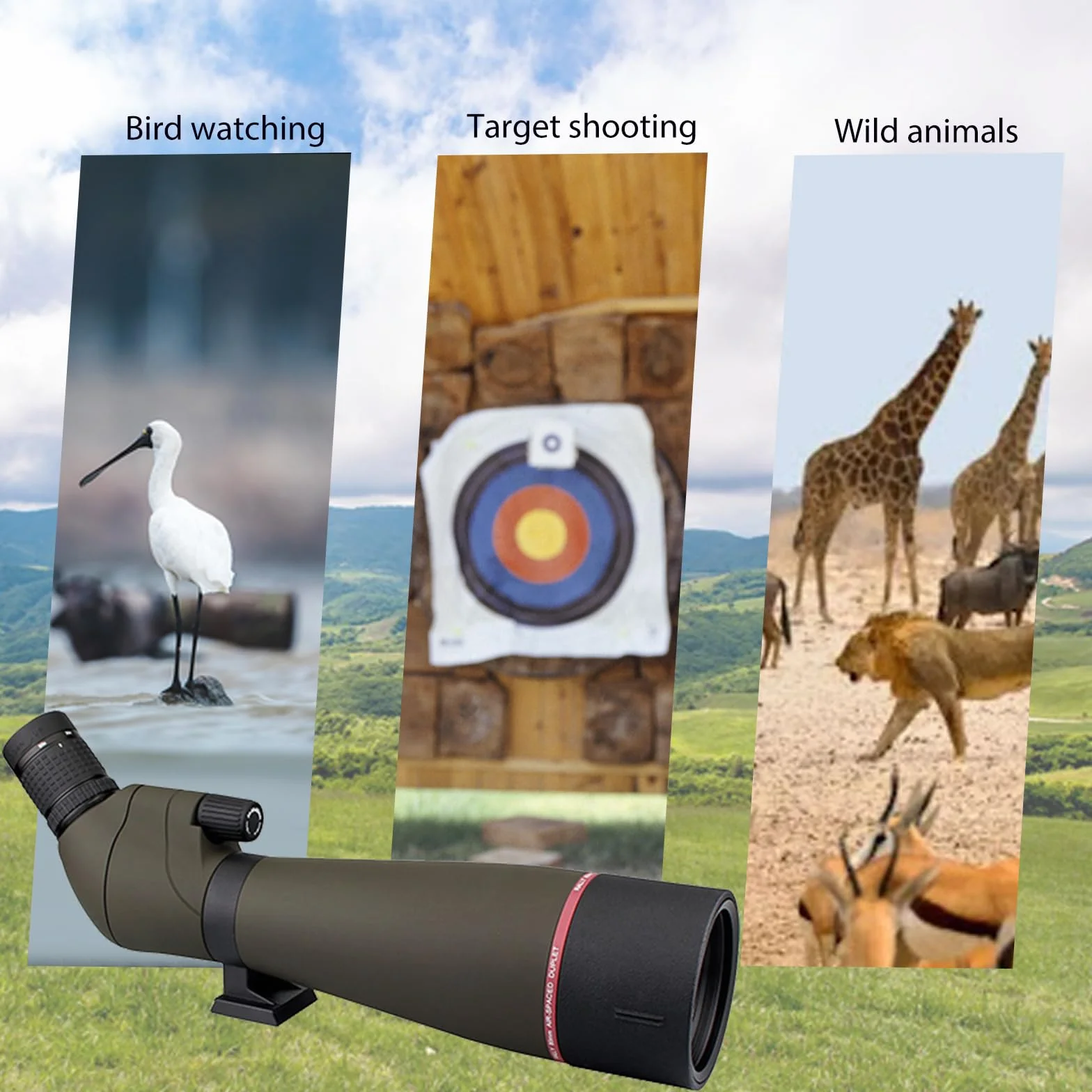 Svbony SV13 Cannocchiale, 20-60x80 Cannocchiale con Treppiede, HD Porro Prisma FMC Ottica Impermeabile Potente per Tiro a Segno, Tiro con Arco, Birdwatching, Luna
