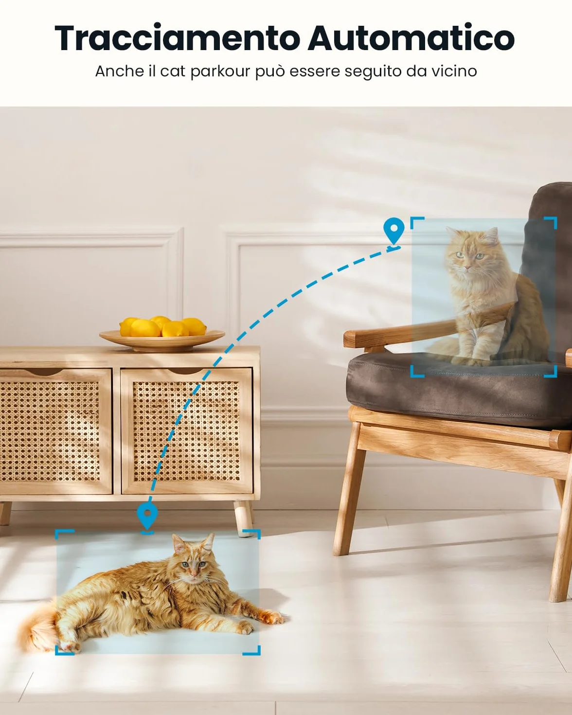 ieGeek 2K Telecamera WiFi Interno 2,4/5GHz, Videocamera Sorveglianza Interne con Tracciamento Automatico e Rotazione a 360°, Registrazione 24/7, Visione Notturna, Audio Bidirezionale, SC1, Bianco/2pcs