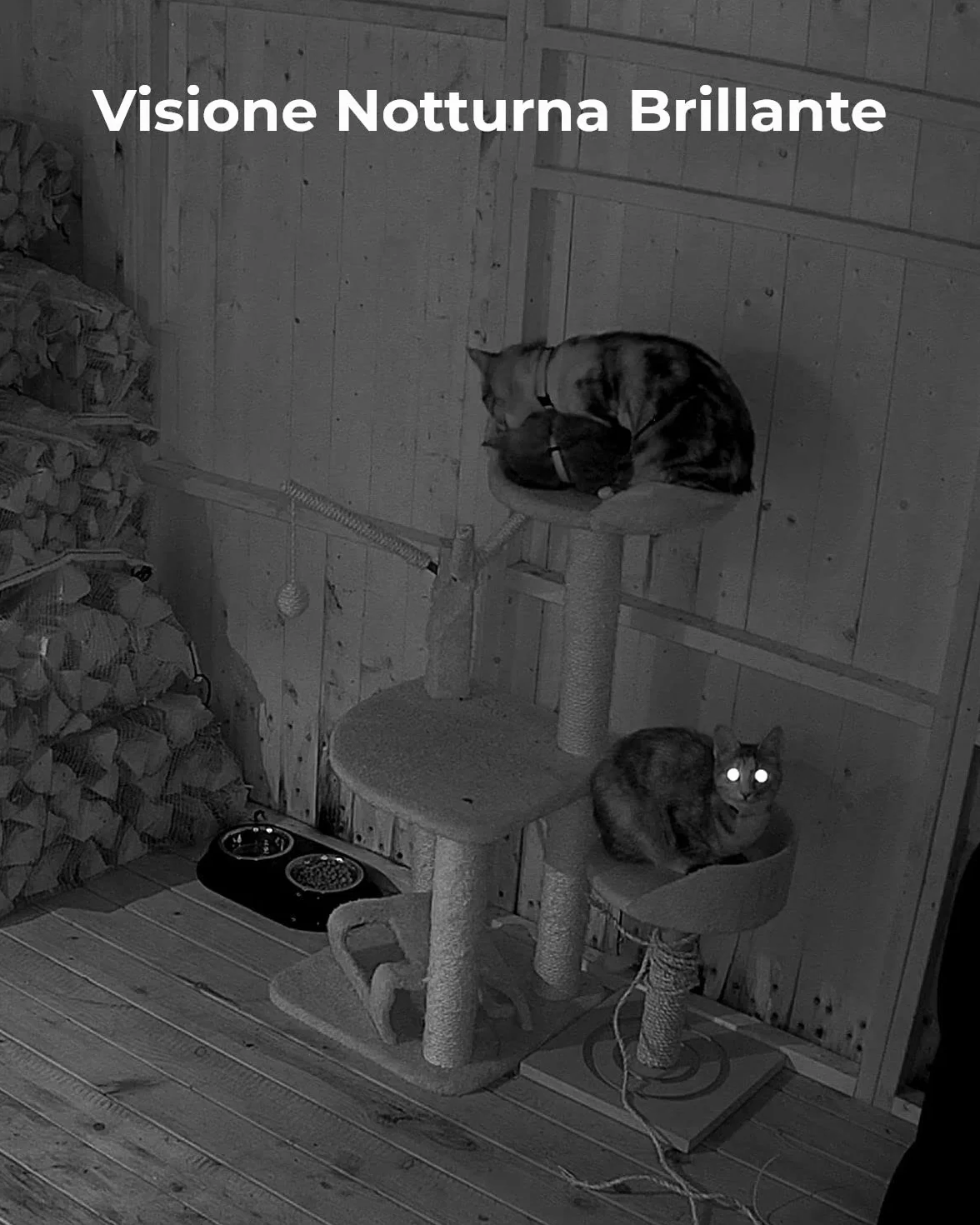 Reolink 4MP Telecamera WiFi Interno 2.4/5GHz con Pan&Tilt, Videocamera Sorveglianza WiFi con Audio a 2 Vie, Rilevazione del Movimento e Visione Notturna, E1 Pro (Ricondizionato)