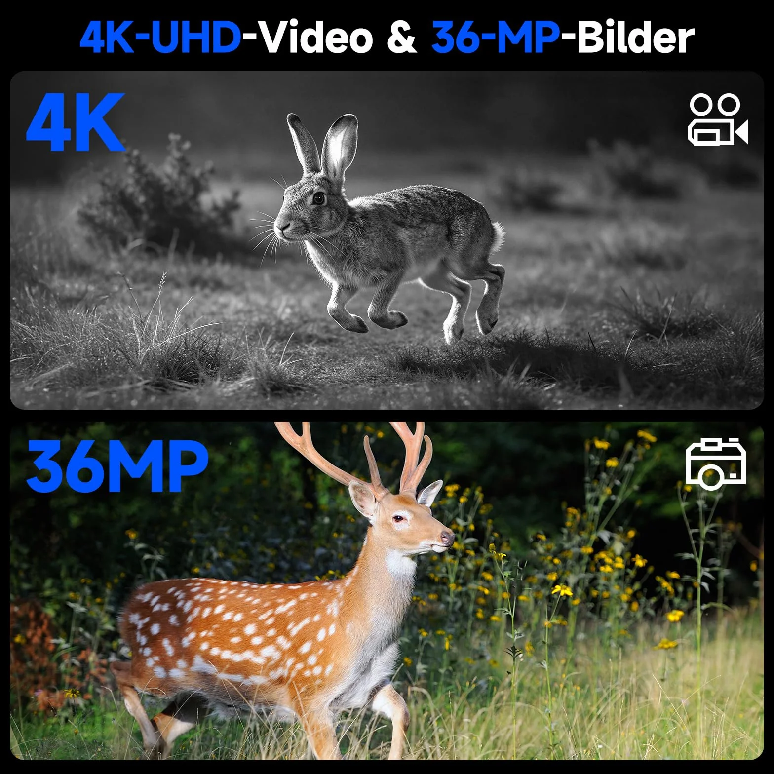 Binocolo Visione Notturna 4K 36MP, Relassy HD Visore Notturno Digitale Infrarossi con 3.0" TFT HD LCD, Ricaricabile 4000mAh, Zoom Digitale 5X, Per Caccia, Birdwatching, Campeggio, con Scheda 32GB