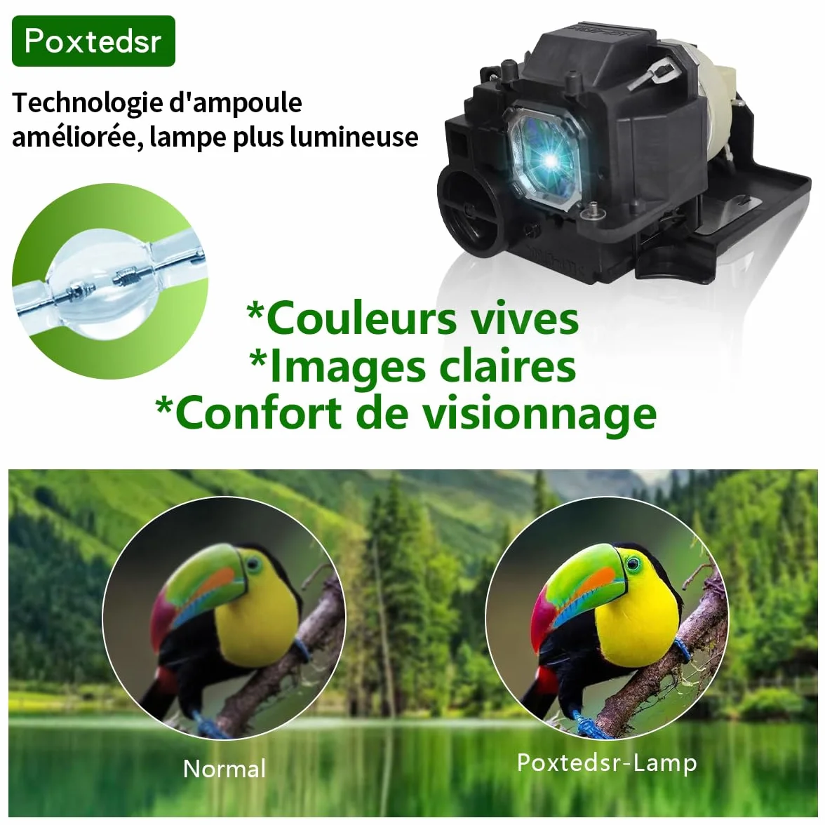 NP32LP Lampada Proiettore con Alloggiamento Compatibile con NEC NP-UM301W NP-UM301X UM301W UM301Wi UM301X UM301Xi