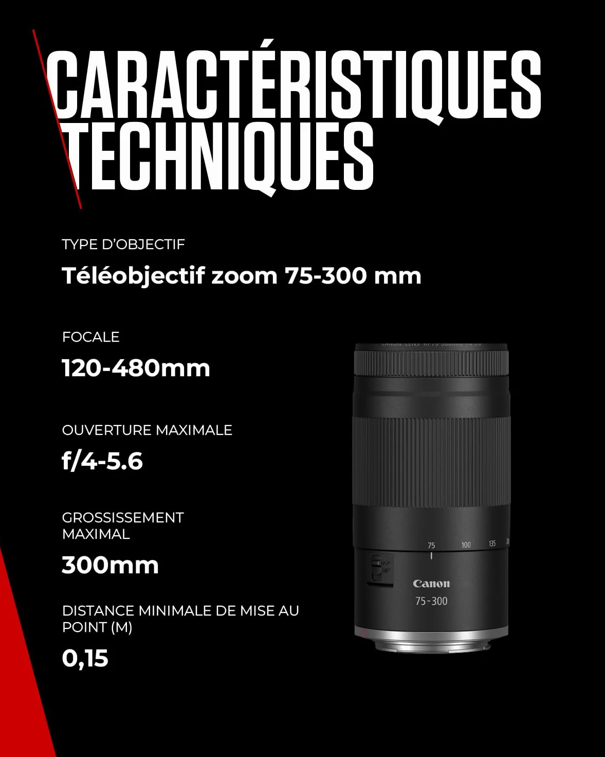 Canon RF 75-300mm F4-5.6 Teleobiettivo Zoom per Fotografia Sportiva e Fauna Selvatica