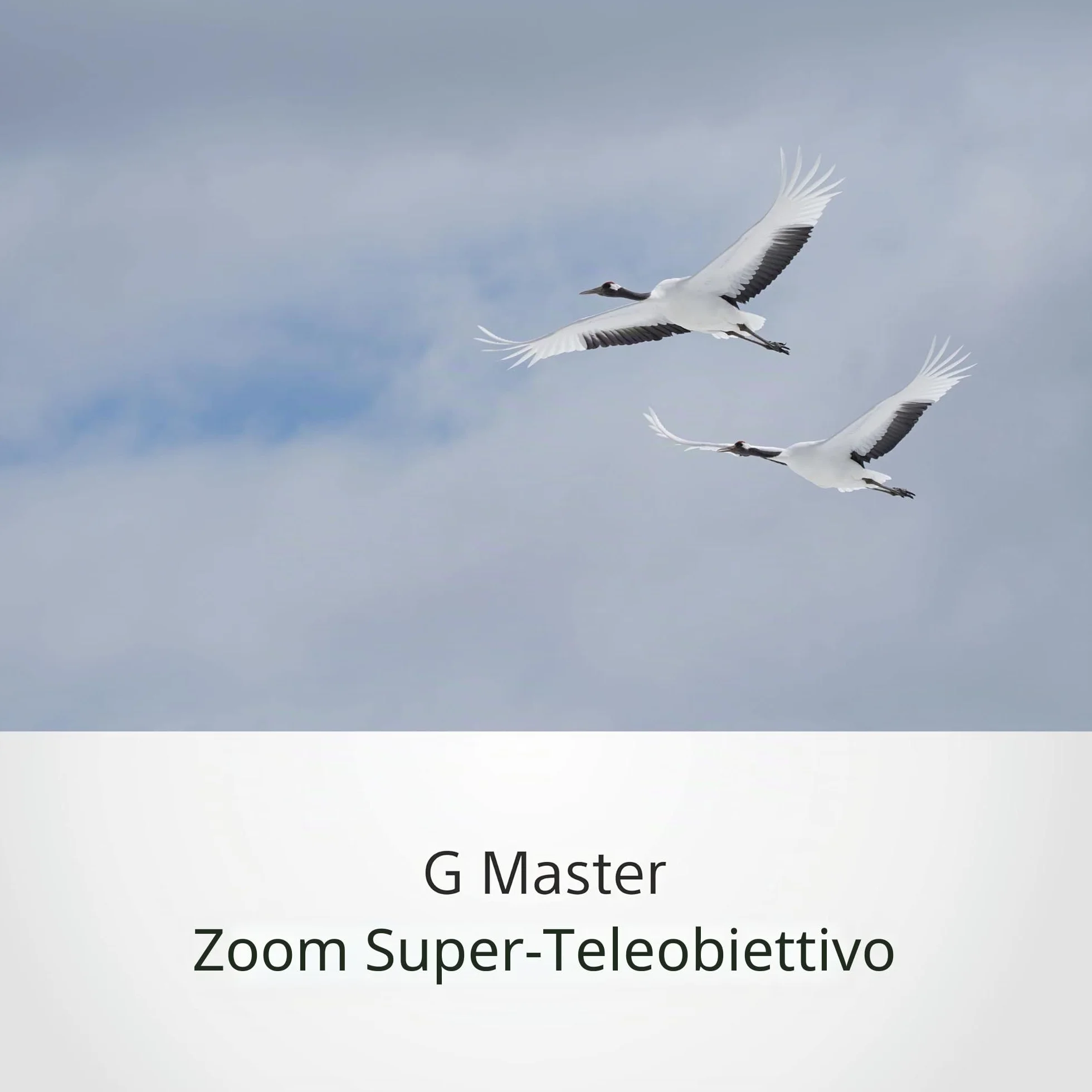 Sony SEL100400GM– 100–400 mm F4.5–5.6 G Master Superteleobiettivo zoom per full frame e APS-C(OSS, attacco E, zoom premium, ideale per sport, fauna, compatibile con la serie A7, ZV-E10, A6400, A6700)