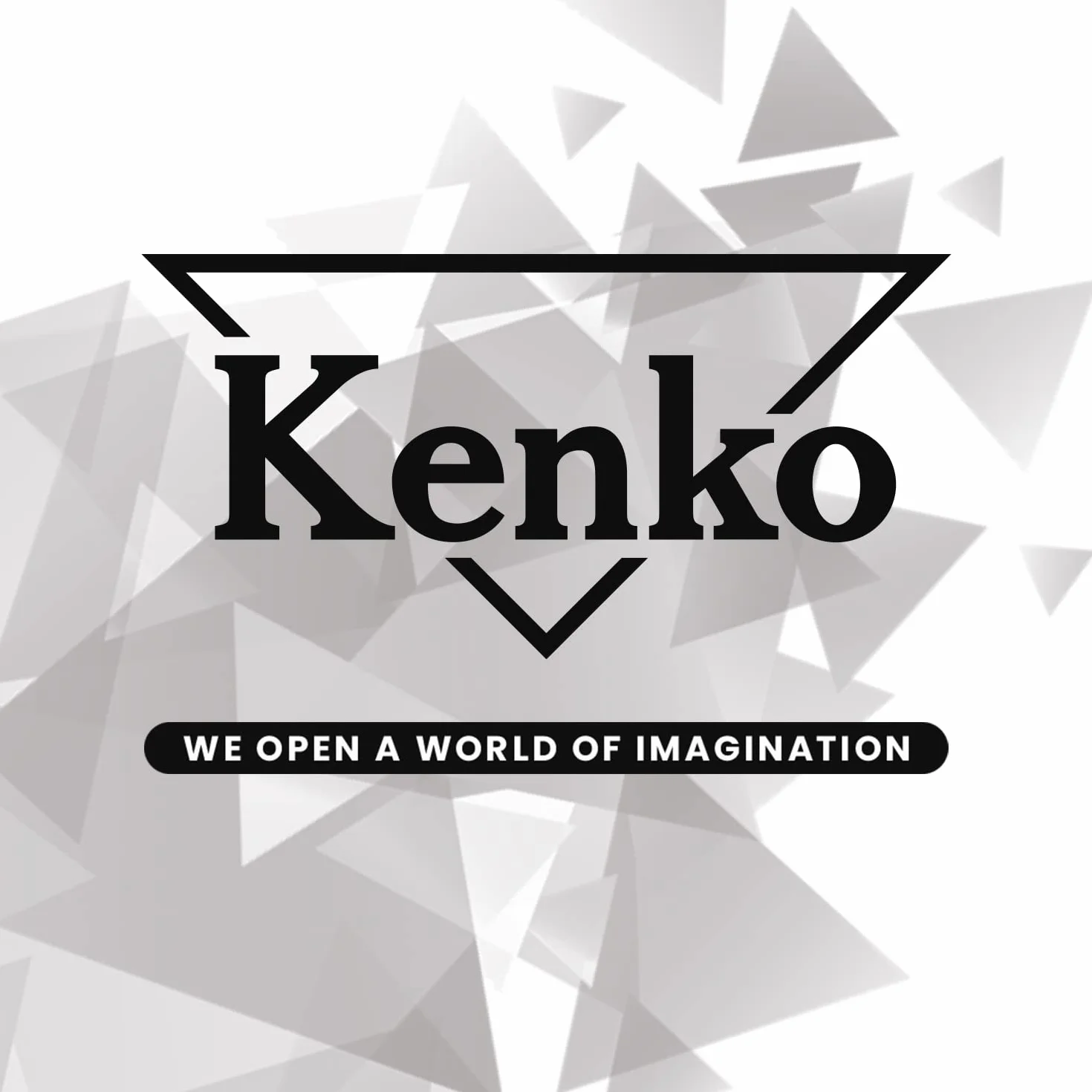 Kenko Teleconverter Teleplus HD 2x DGX per Canon EF/EF-S, prodotto in Giappone, 625231
