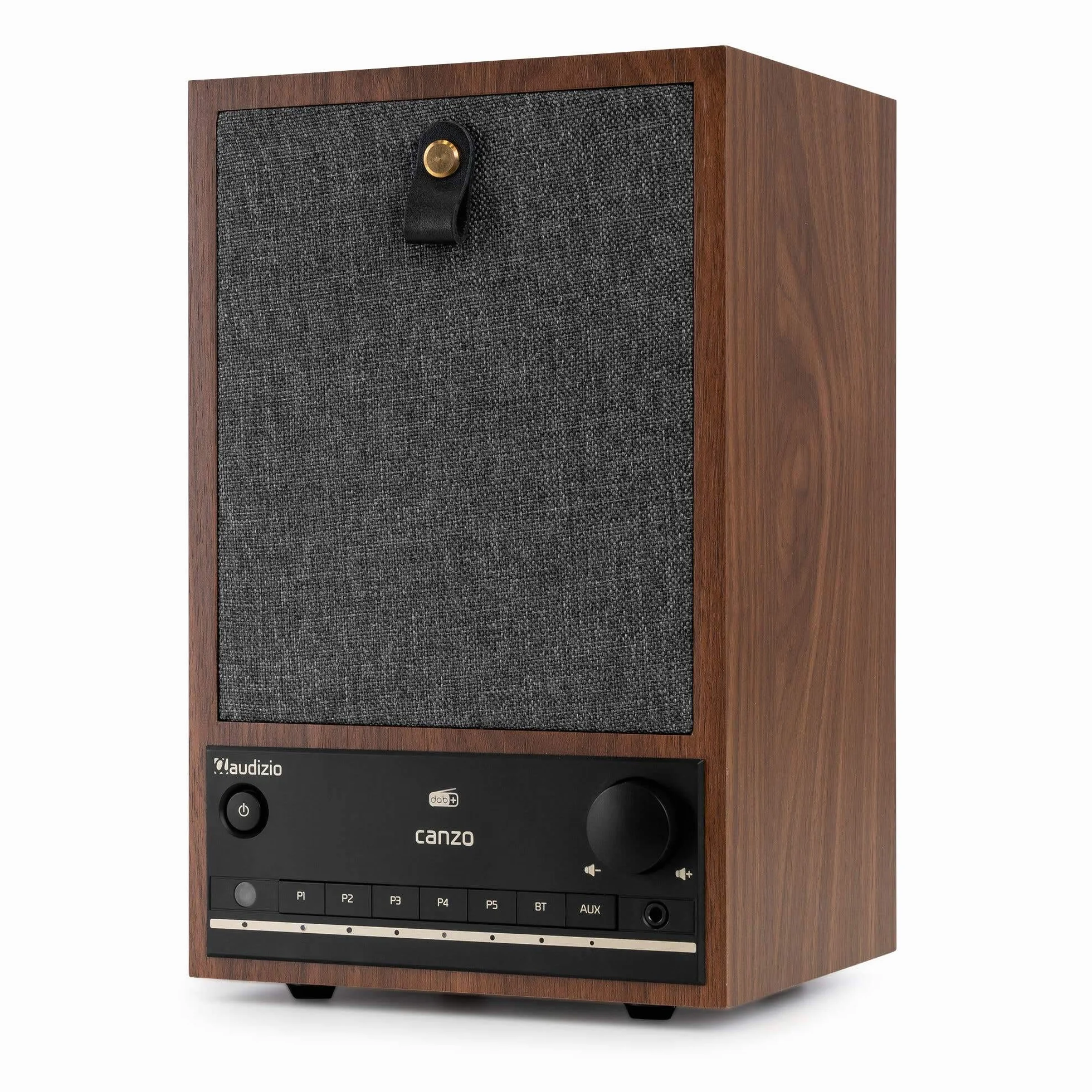 Audizio Canzo Radio DAB Internetradio WLAN Bluetooth 5.3 Digitale Telecomando Cucina Collegamento LAN AUX Line-Out