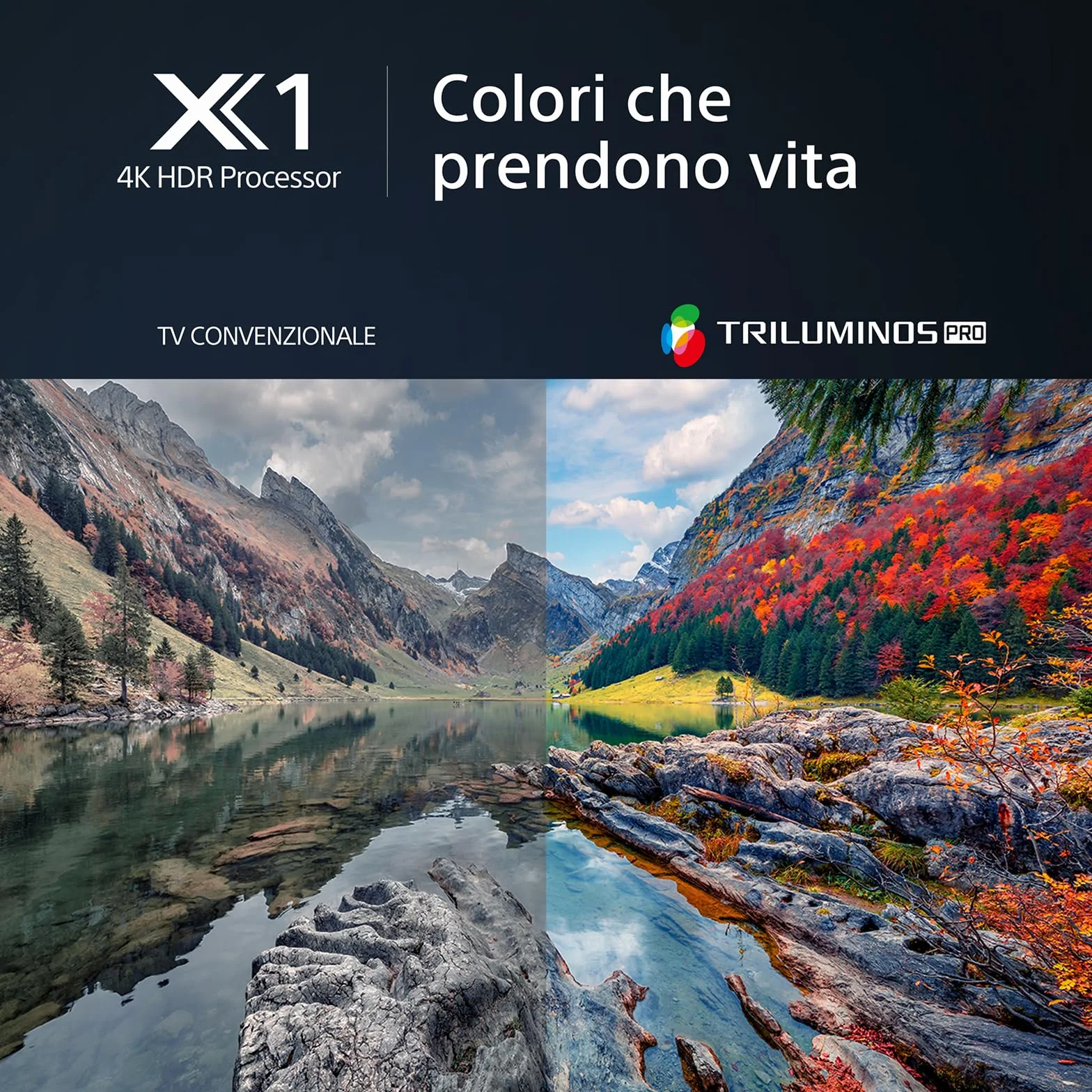 Sony BRAVIA KD-65X80L LED 4K HDR Google TV