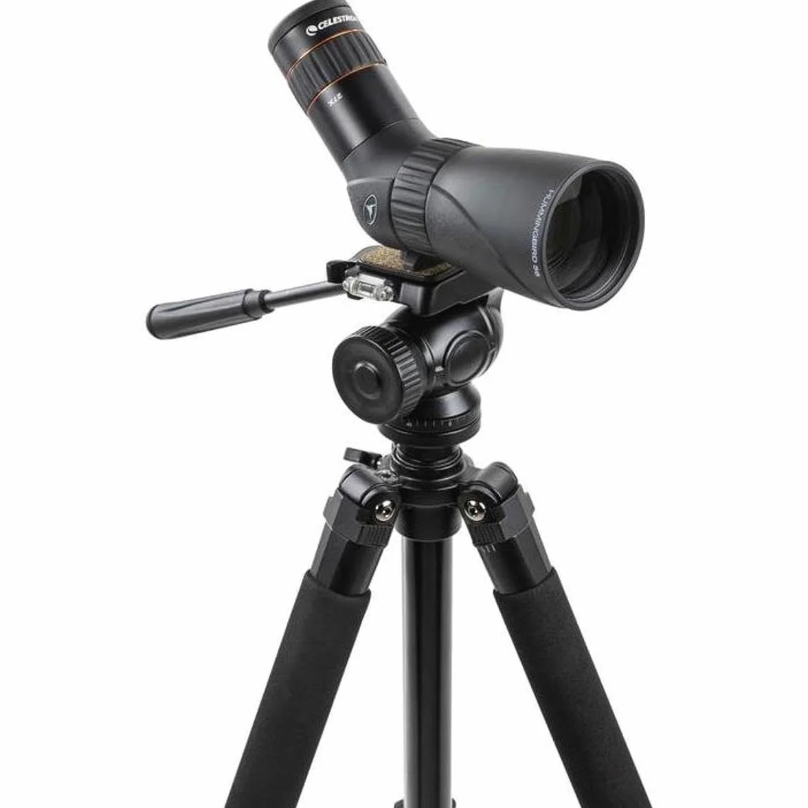 Celestron 52310 Hummingbird Micro Cannocchiale, ingrandimento da 9 a 27x, Prisma BaK-4, Nero