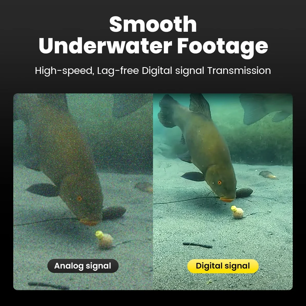 Chasing Canfish CF1 - Kit fotocamera per pesca subacquea, video portatile Full HD 1080p, controllo remoto tramite app, osservazione in tempo reale, fotocamera da pesca