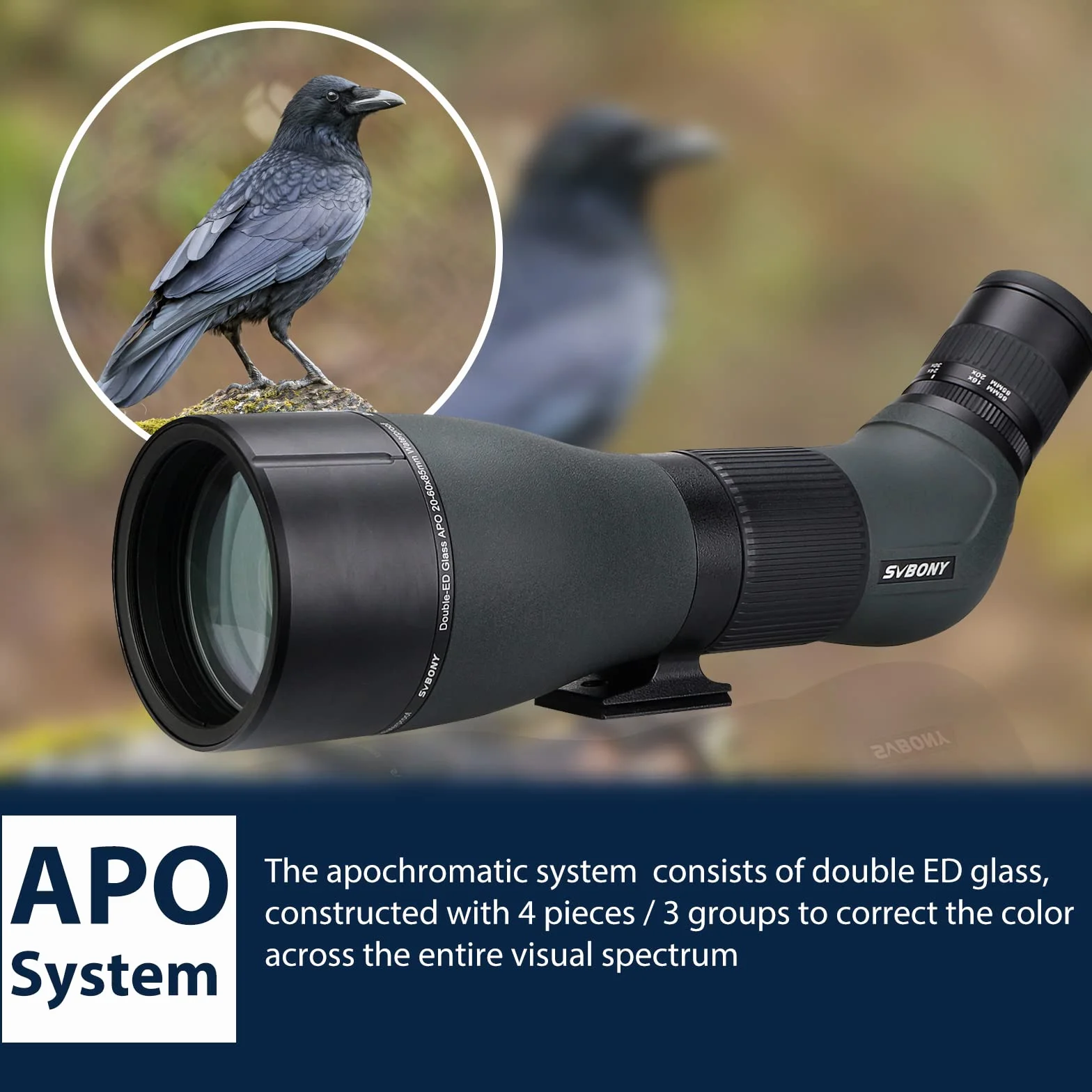 Svbony SA401 APO Spotting Scope 20-60x85, Doppio Vetro ED Cannocchiale per Birdwatching Messa a Fuoco Precisa, Impermeabile Telescopio Angolato per Birdwatching, Natura