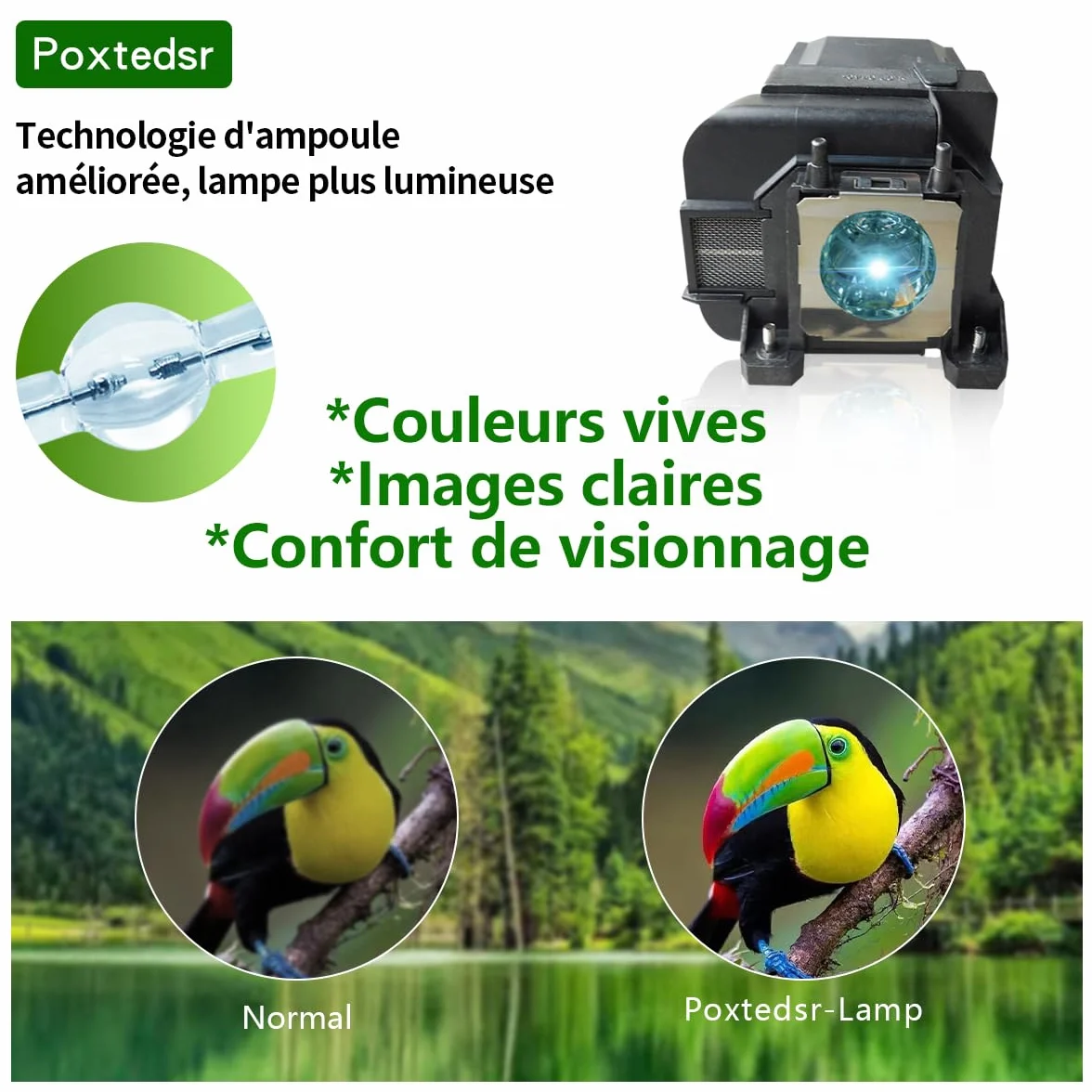EL PLP77 - Lampada di ricambio per proiettore compatibile con EPSON EB-4550 EB-4750W EB-4850WU EB-4950WU EB-1970W EB-1975W EB-1980WU EB-1985WU EB-4650 proiettori con alloggiamento