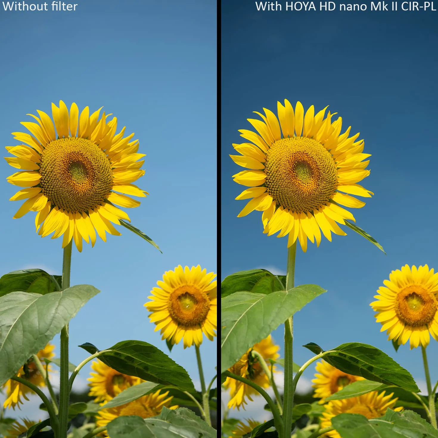 HOYA Circular Polarizing filter HD Nano MkII ø62mm