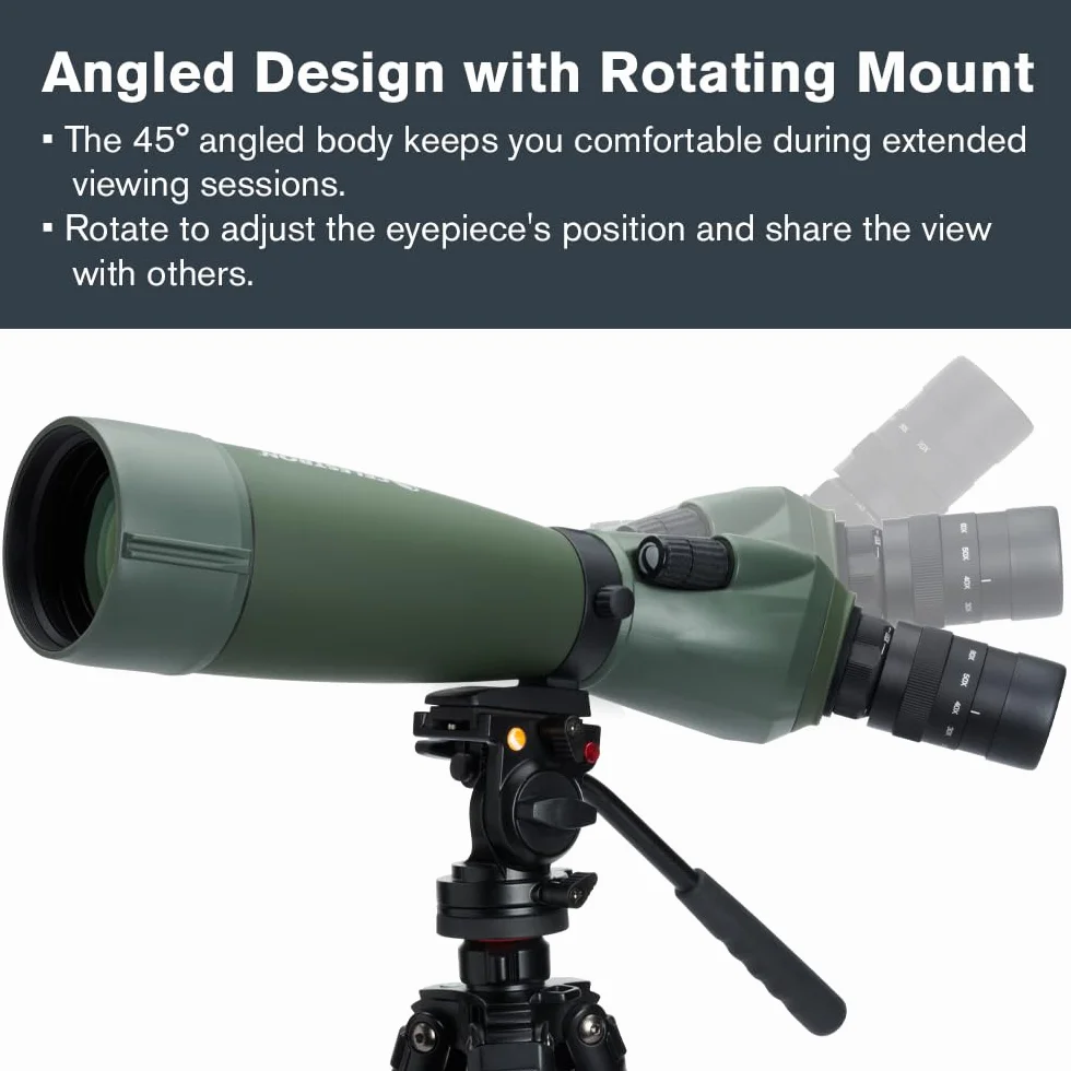 Celestron 52305 Regal M2 20-60x80 mm ED, cannocchiale da osservazione con zoom angolare, ottiche multistrato, prismi in vetro BaK-4, corpo leggero in lega di magnesio e custodia imbottita, verde