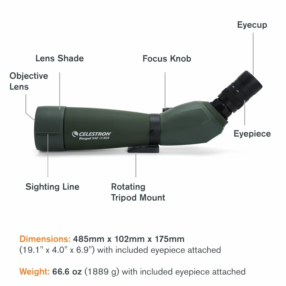 Celestron 52305 Regal M2 20-60x80 mm ED, cannocchiale da osservazione con zoom angolare, ottiche multistrato, prismi in vetro BaK-4, corpo leggero in lega di magnesio e custodia imbottita, verde