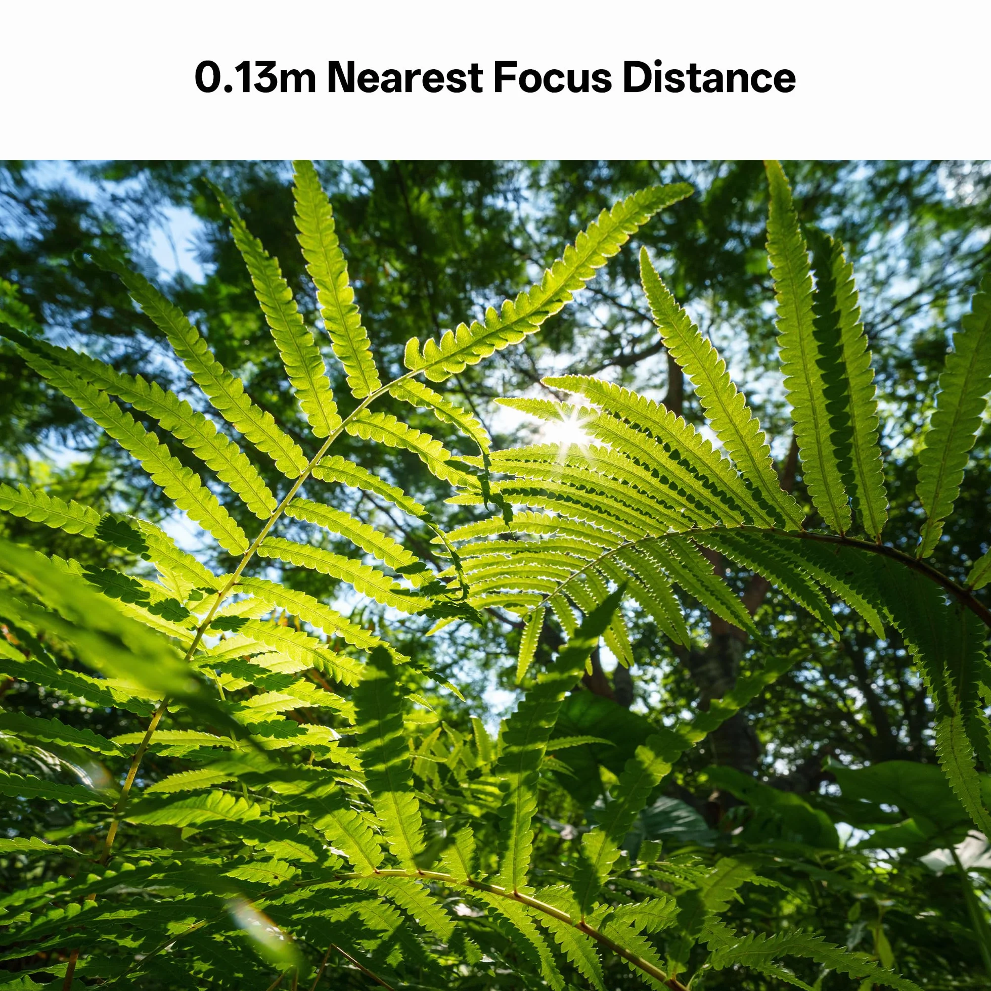 VILTROX 14mm F4.0 Z-Mount Obiettivo per Nikon, Full Frame Grande Apertura Ultra-Grandangolare Messa A Fuoco Automatica Primo Obiettivo Compatibile con Fotocamere Nikon Z-Mount Z5 Z50 Z50II Z6