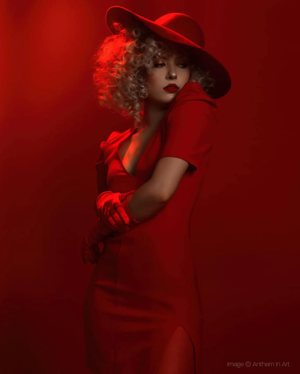 Rogue Gel Flash rotondi - Collezione Ultimate Portrait