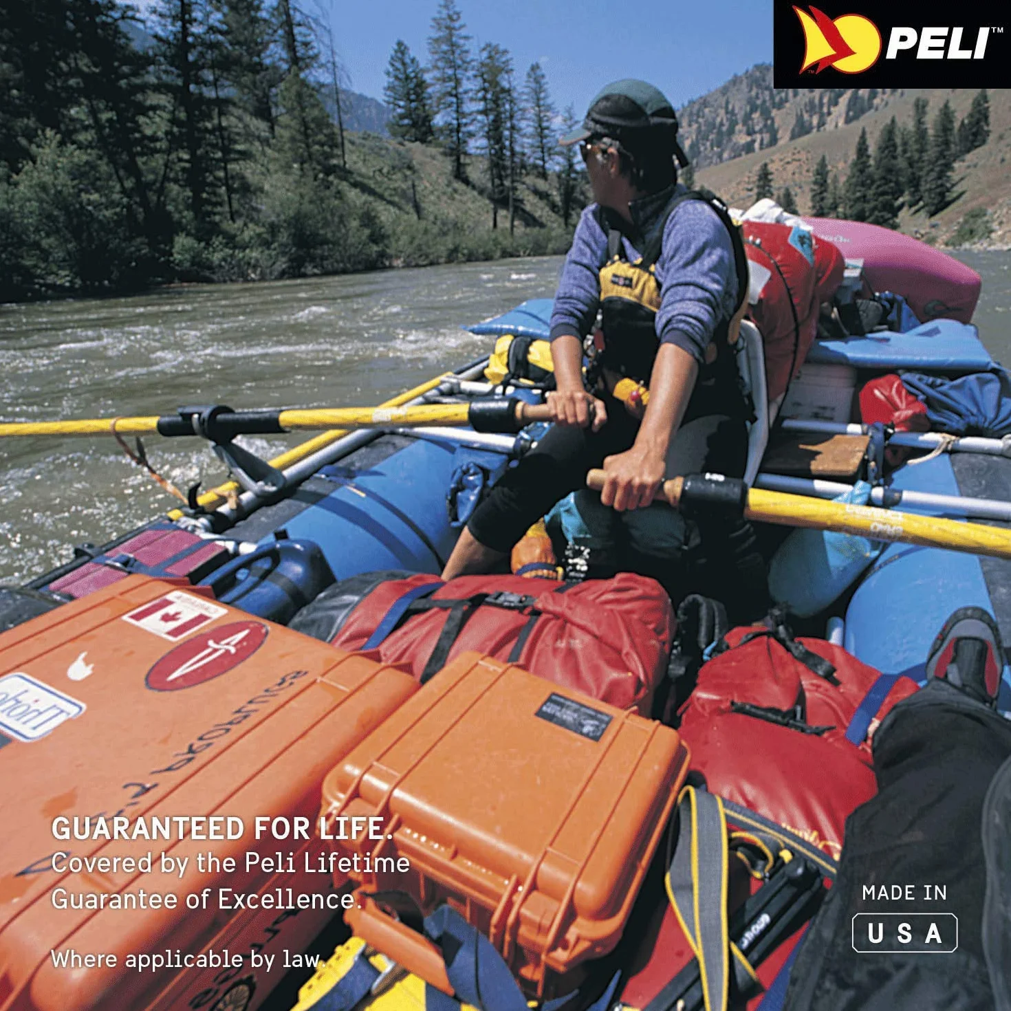 PELI 1300