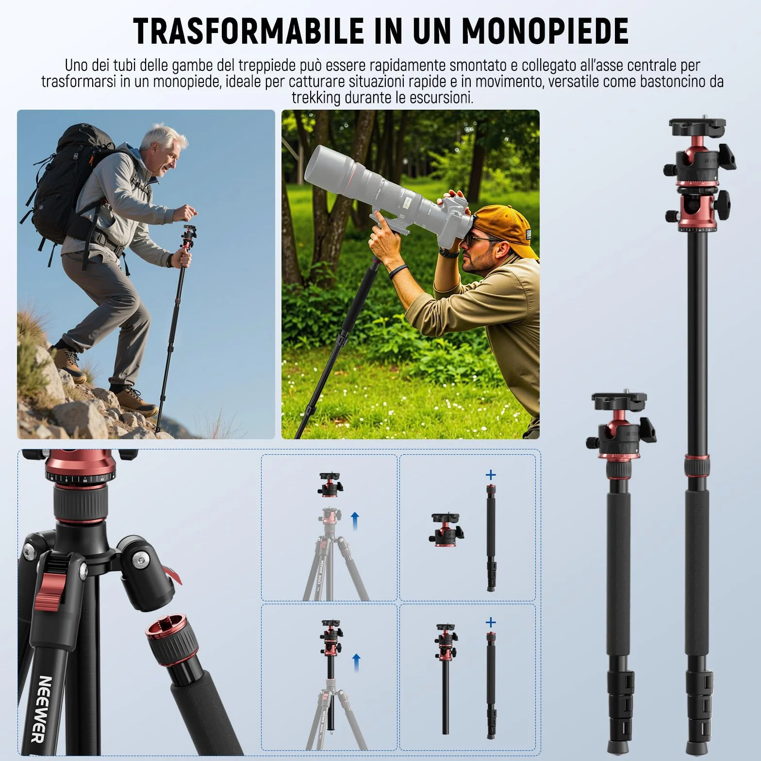 NEEWER BASICS Monopiede Treppiede Fotocamera da 1,8m con Colonna Centrale e Testa Sfera, Overhead Tripod DSLR Cellulare a Sgancio Rapido Compatibile con iPhone per Riprese Video Viaggio, Max 8kg, TP16