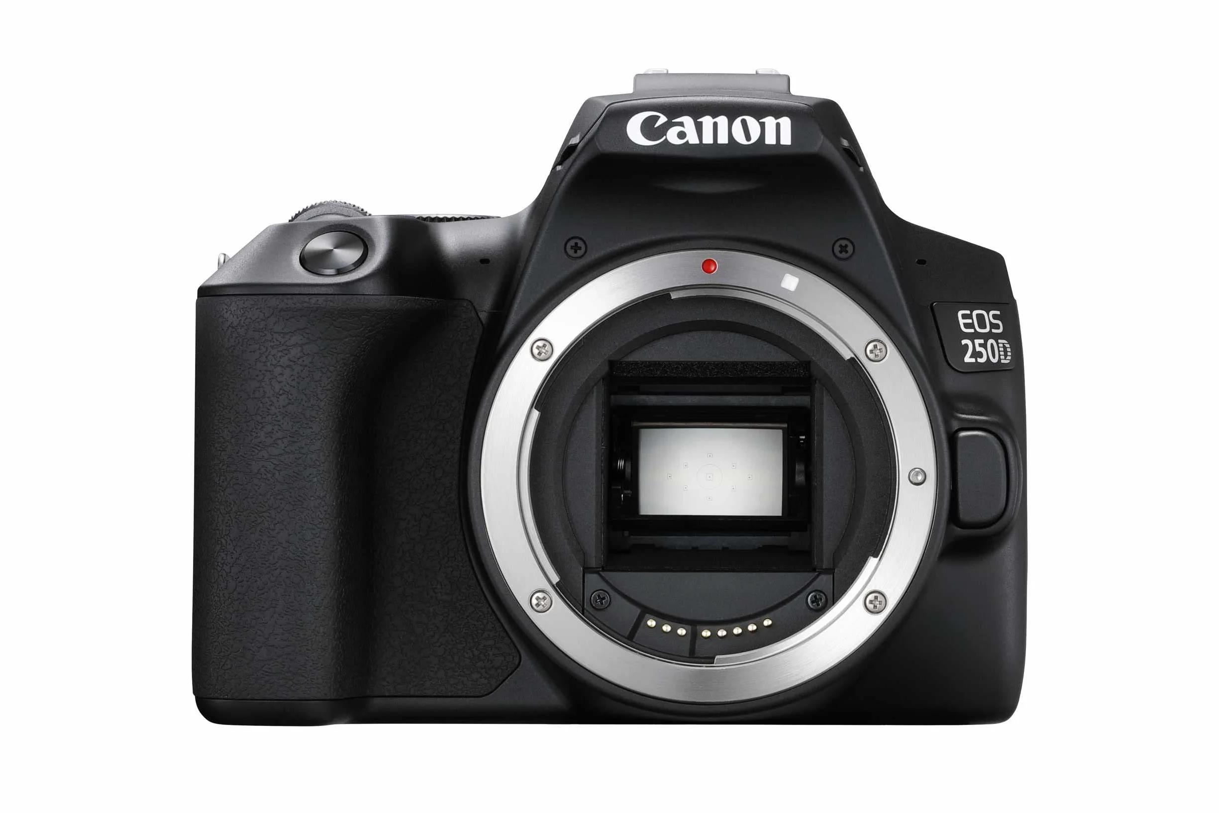 Canon EOS 250D Fotocamera reflex digitale (24, 1 Megapixel, display Vari-Angle da 7,7 cm (3 pollici), sensore APS-C, 4K, Full HD, DIGIC 8, WLAN, Bluetooth), alloggiamento nero